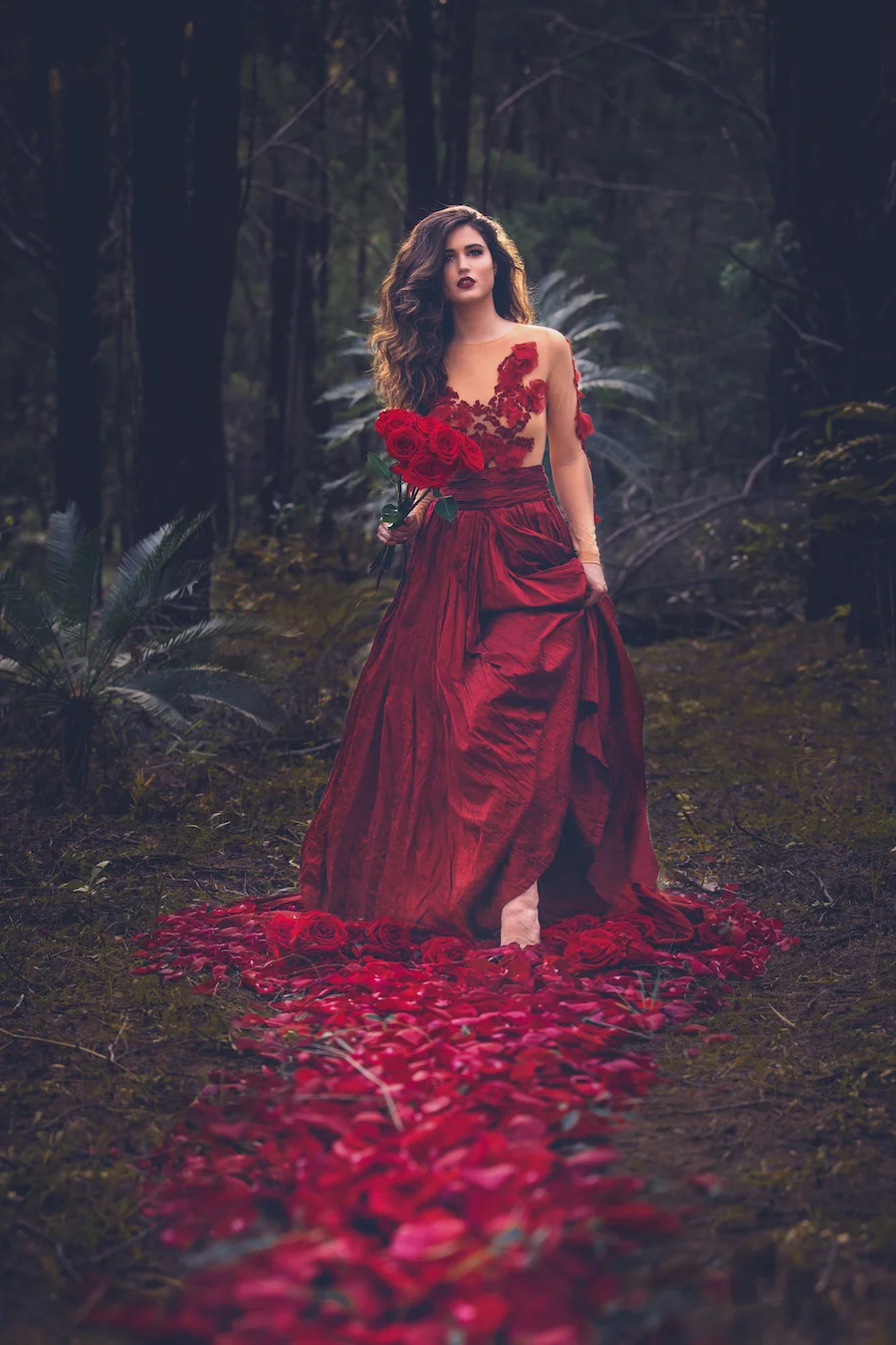 a puddle of red rose petals, Howard Springs forest, Northern Territory
