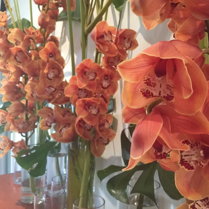 cylinder vases topped with cymbidium orchids and tropical leaves, hall console table or lobby flower arrangement.