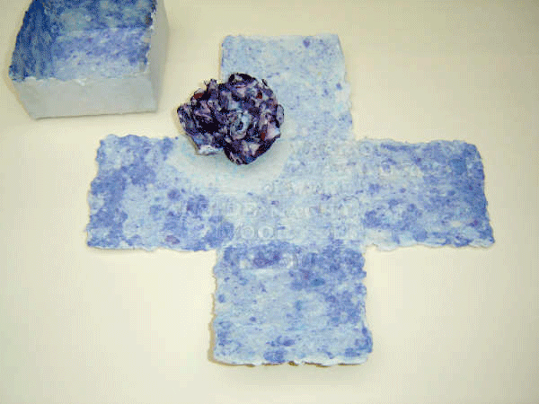 Pandora's dozen, 2006