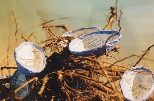 What time is made of, het gemaakte land, 2002