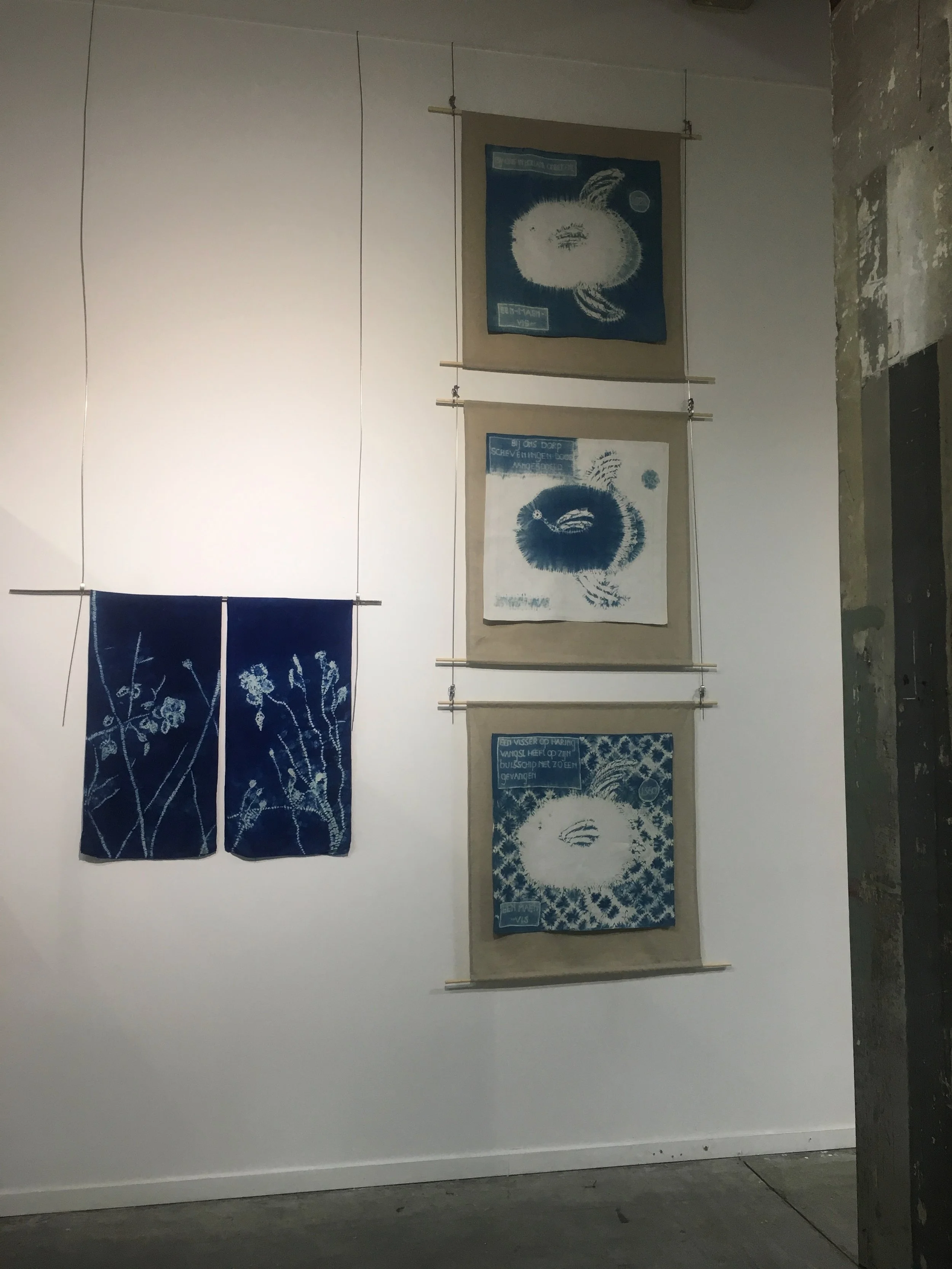 Maanvis, 2018