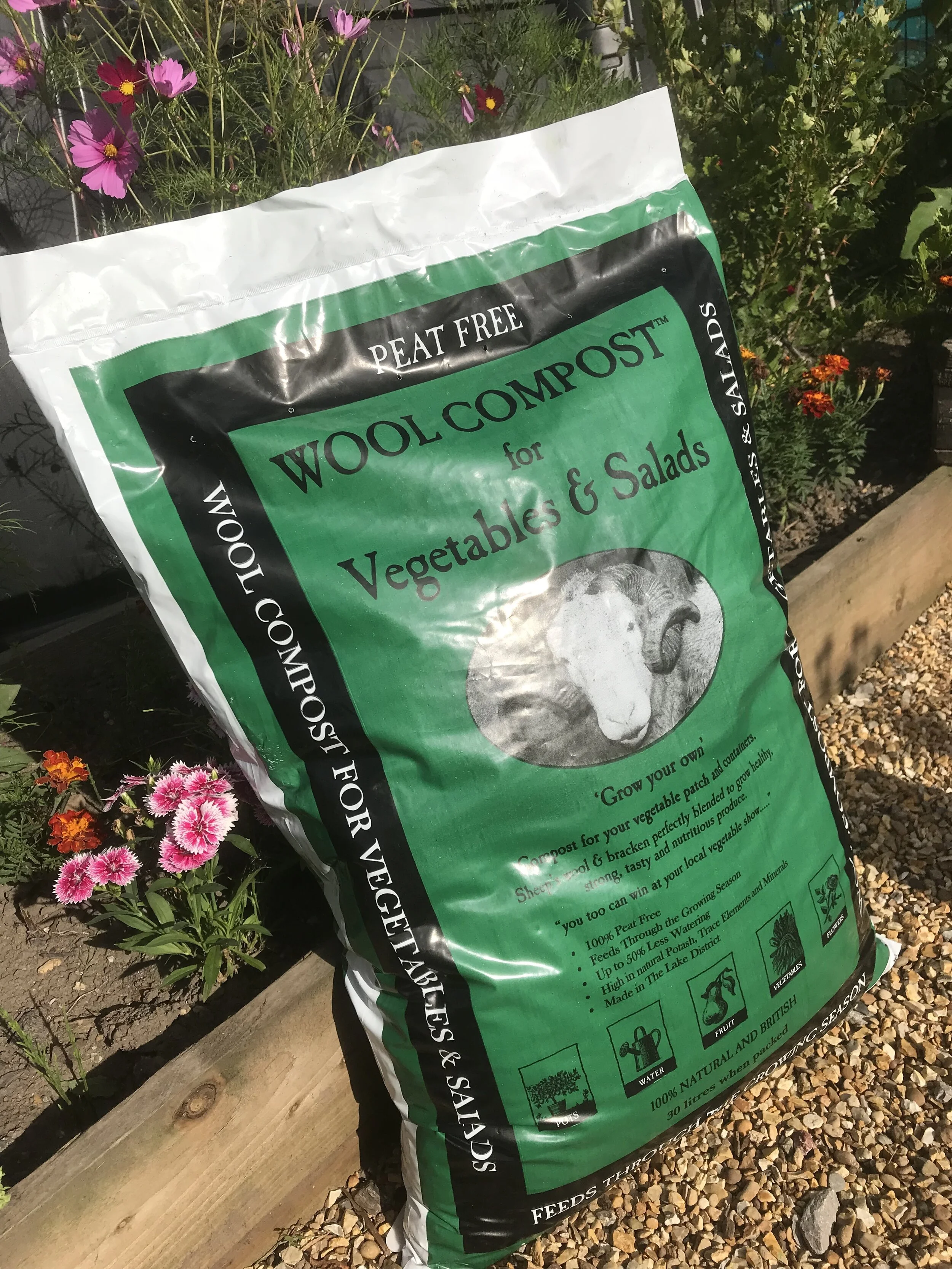 Salad and Veg Compost IncEdu image.JPG