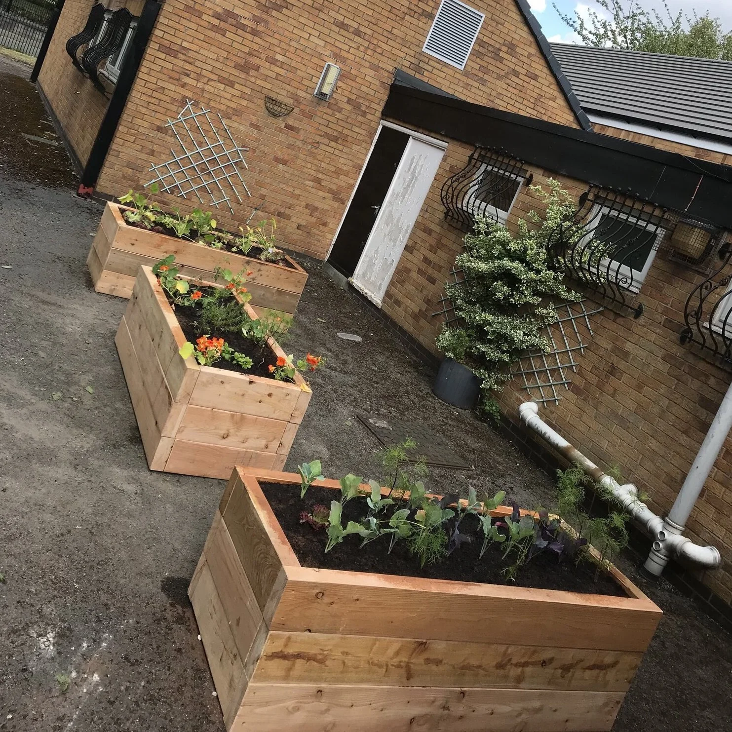 Standard Planter.jpeg