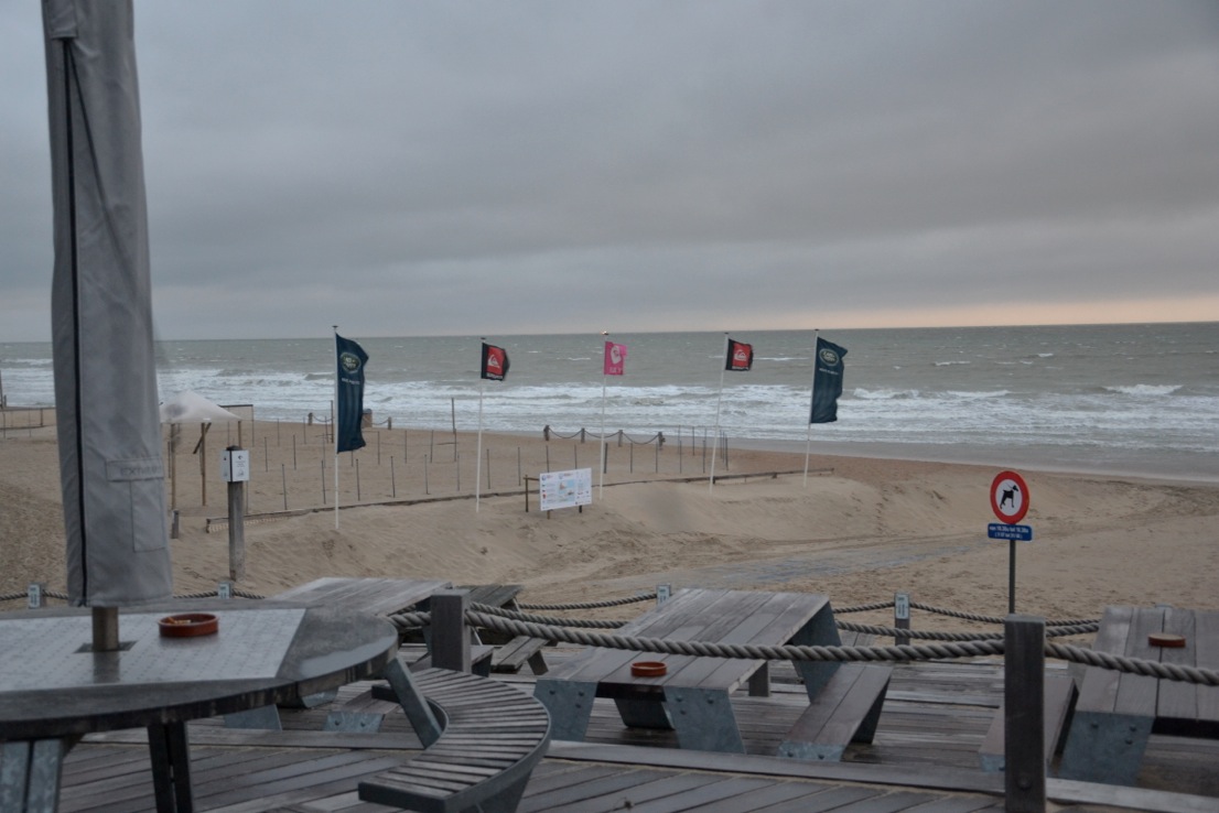 DSC_0372.jpeg