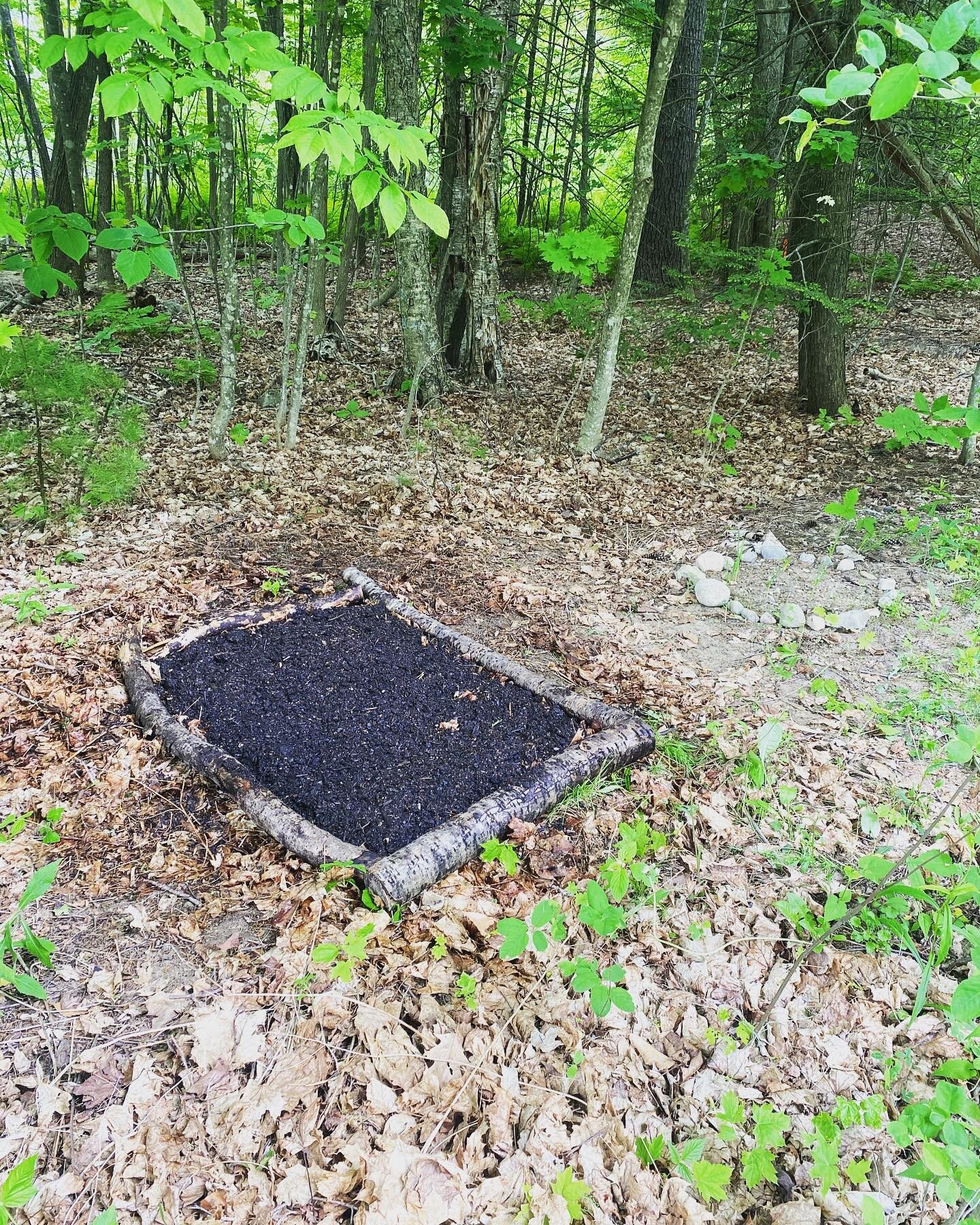 Planted our first mushrooms today in the woods! Thank you @northsporemushrooms for the substrate and manure. 
.
Also, see pic 2 for what 600 pounds of topsoil looks like on a lawn. Not much!! Gotta get another 2000 pounds or so to finish! 
#homestead
