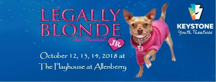 Legally Blonde Jr. | Boiling Springs | October 12-14