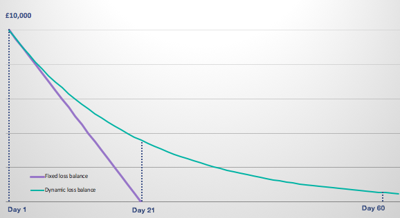 Fixed V Dynamic Loss Balance