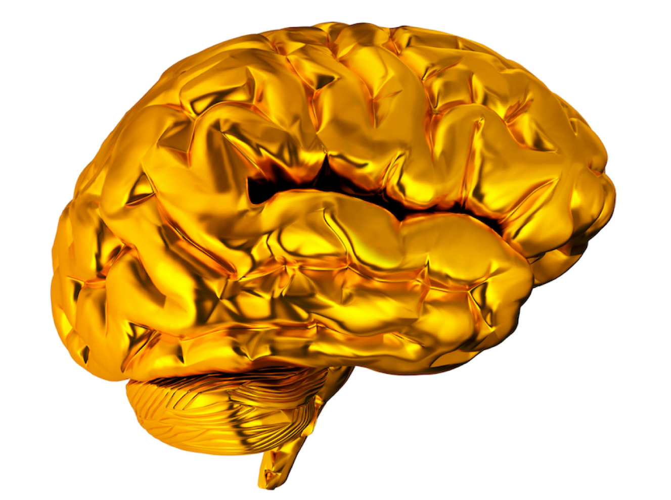 brain2.png