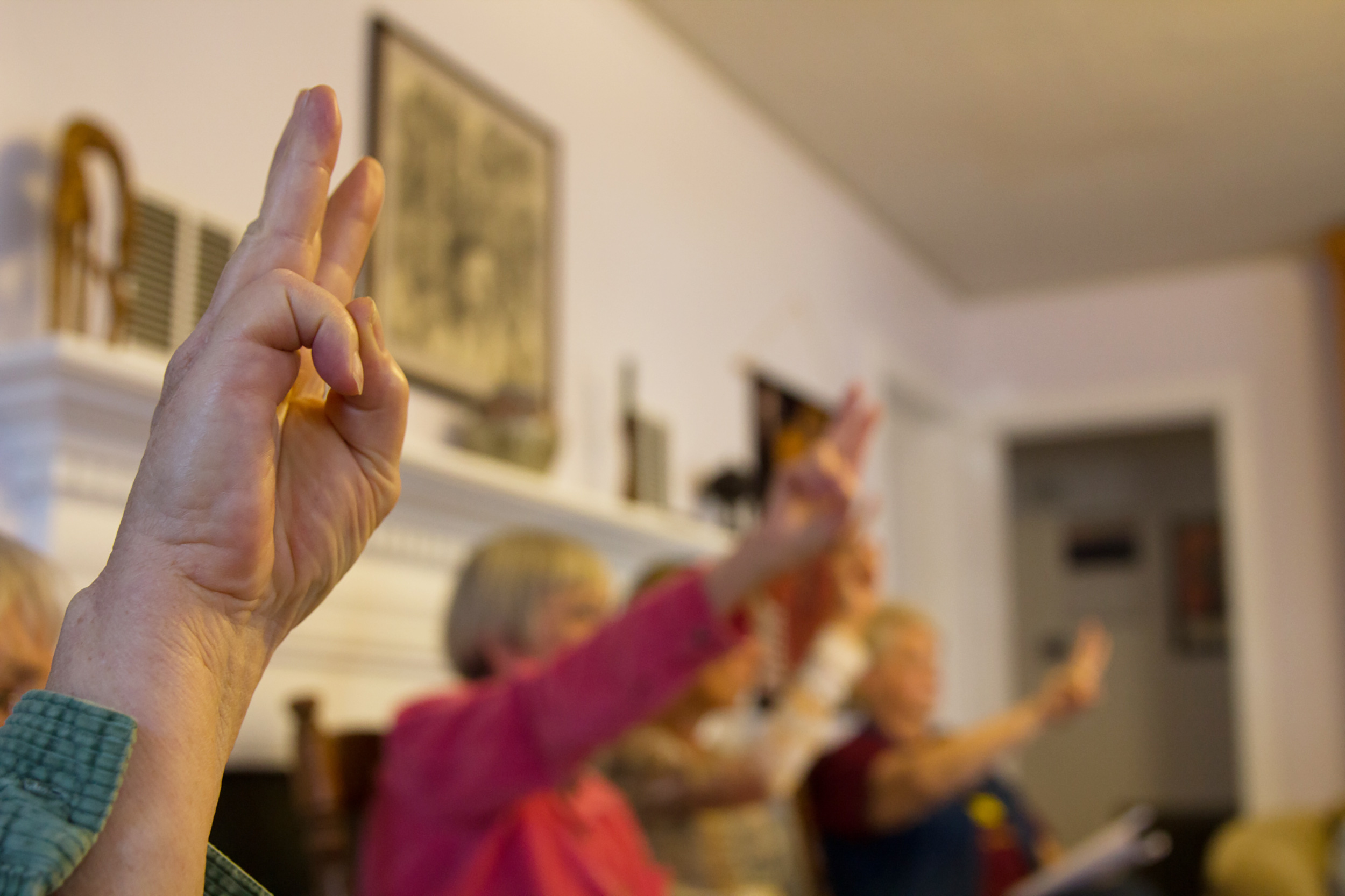 20161208_davison_raginggrannies-1 copy.jpg