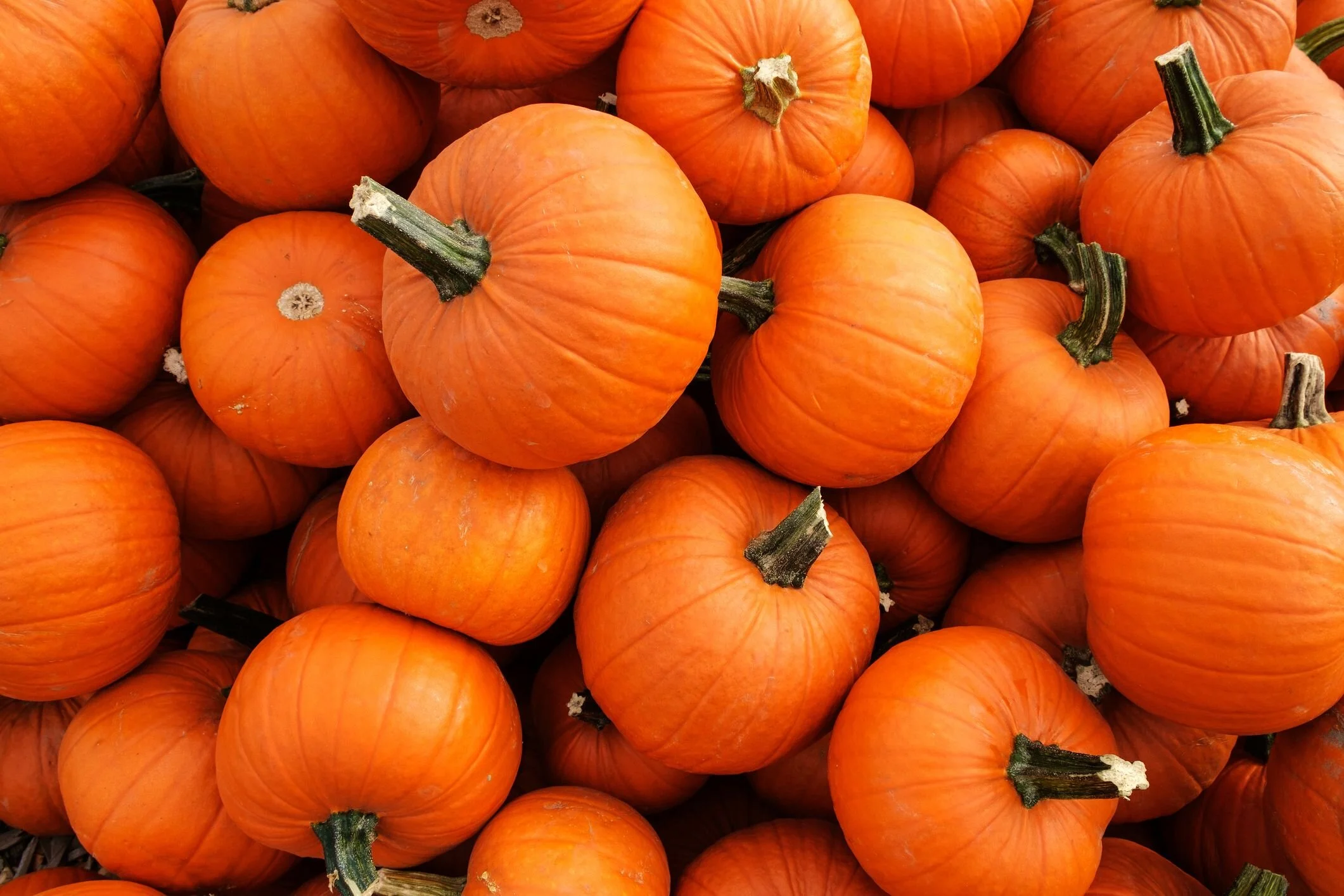 Fall Fun Night