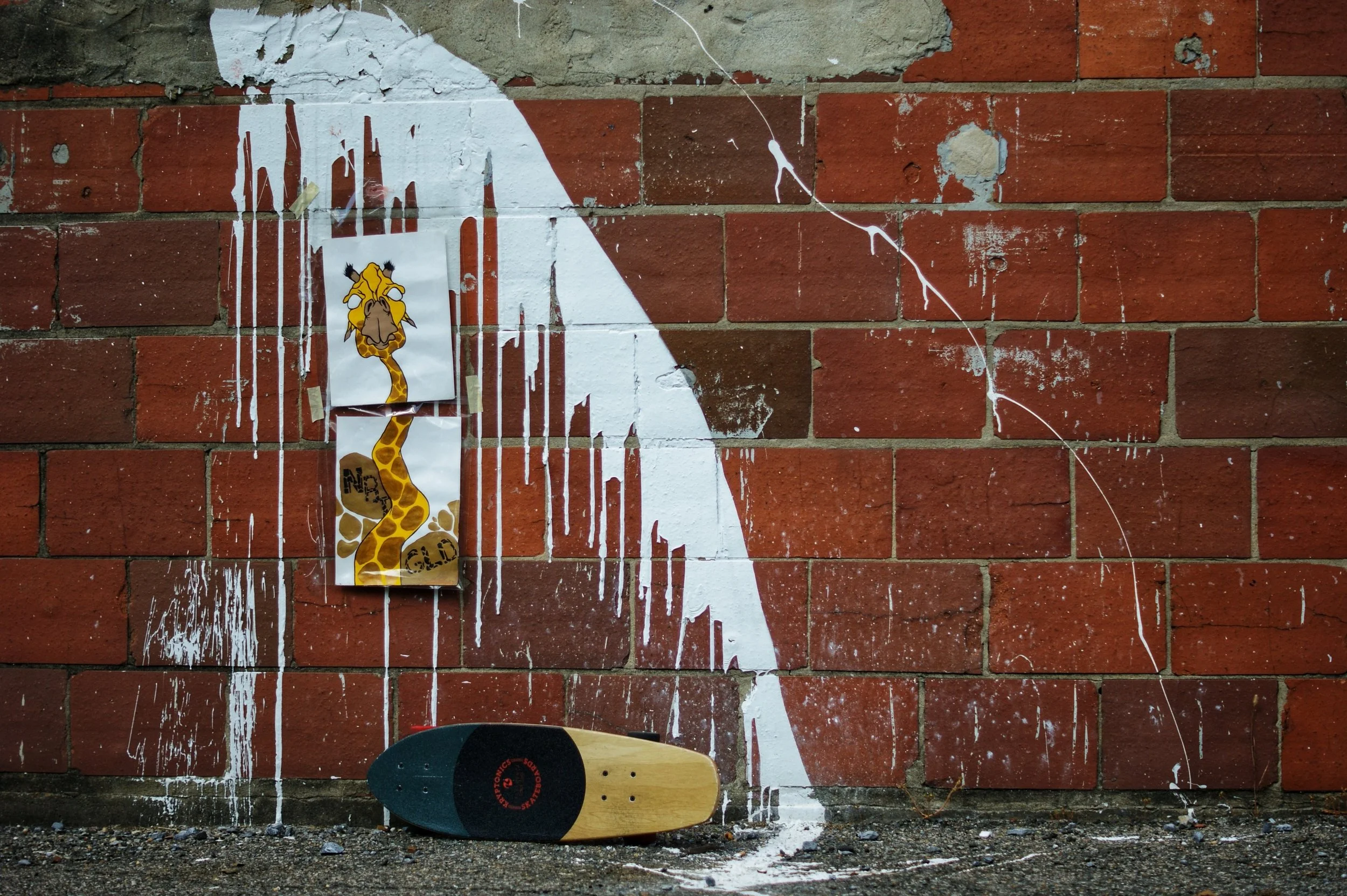 The UrbanJungle Book