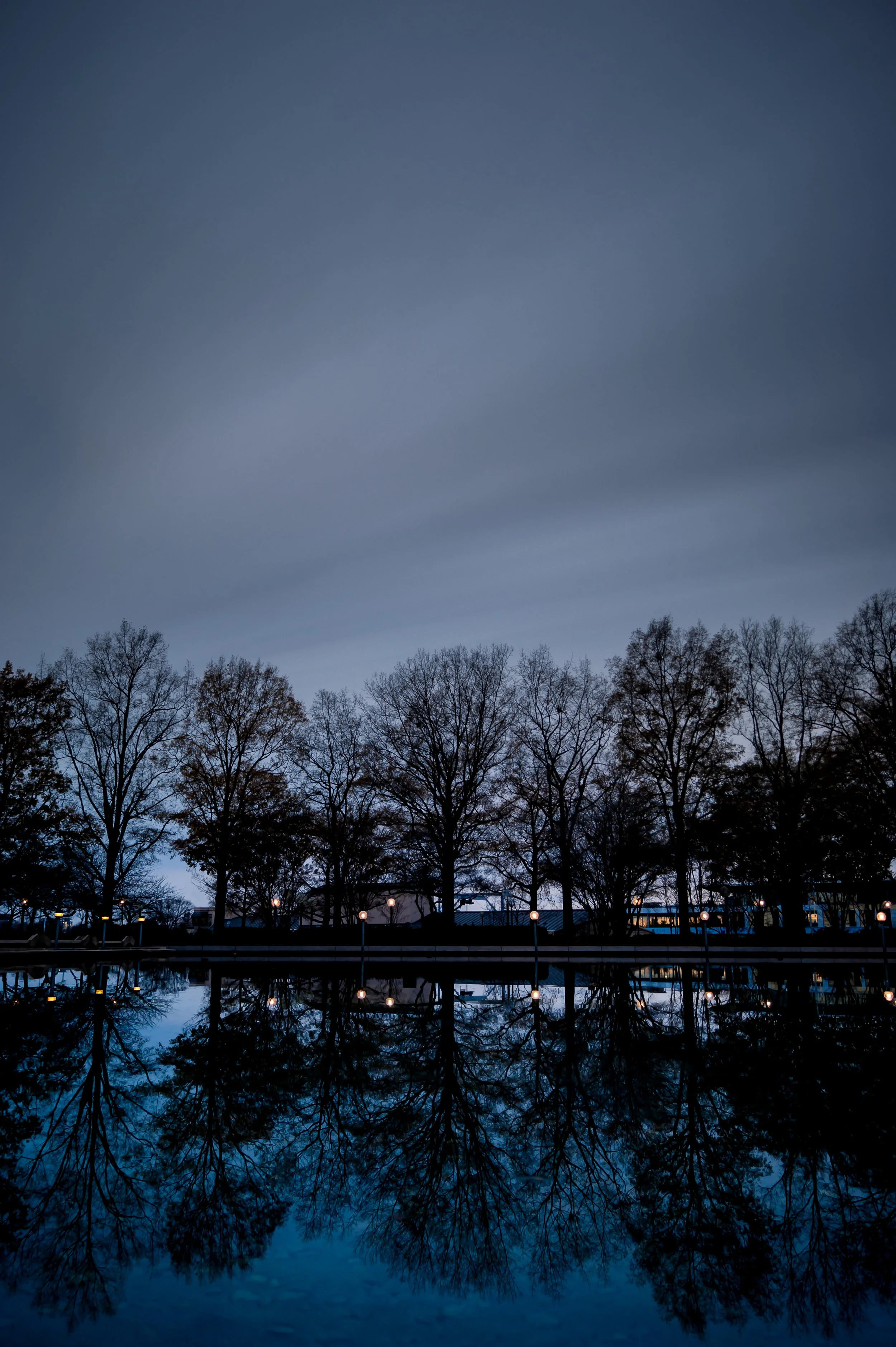DSC04281.jpg