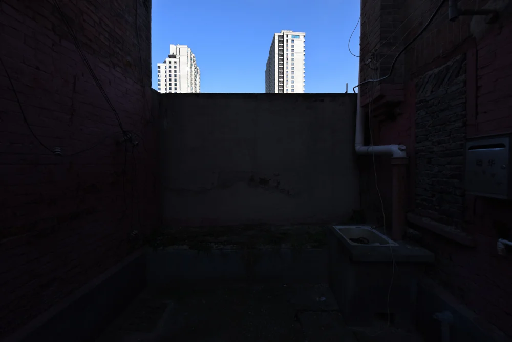 Pawlowski.Julie.02within.the.shadows.jpg