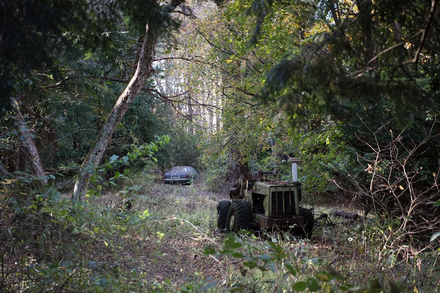 Abandoned Skid Loader and Cadillac
