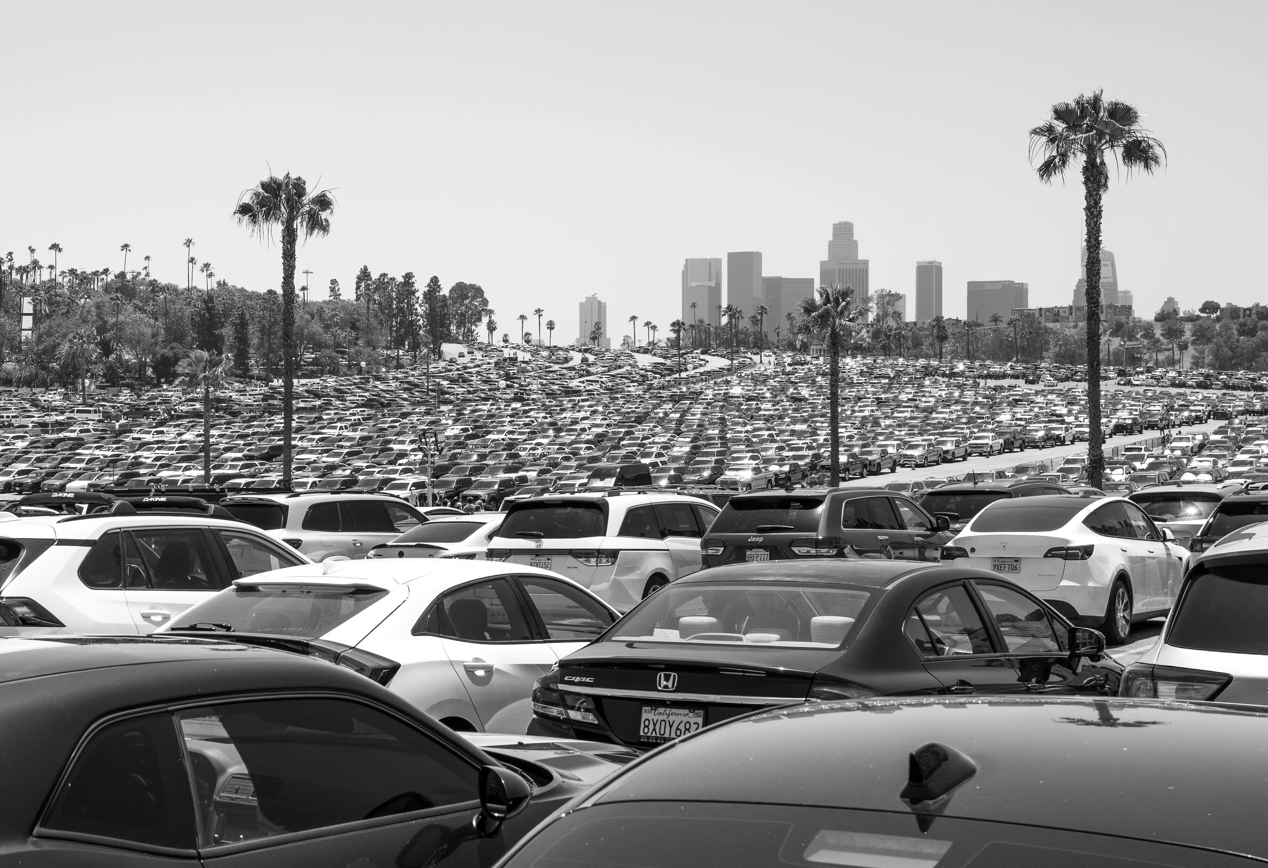 Sea.of.Cars.web.jpg