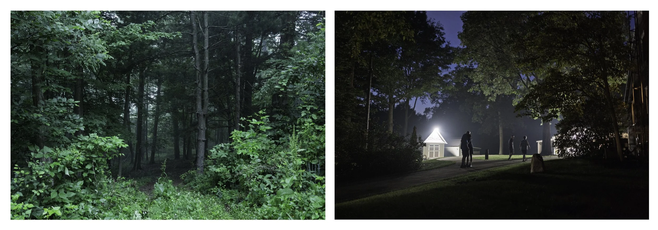  Sanctuary Among the Trees 