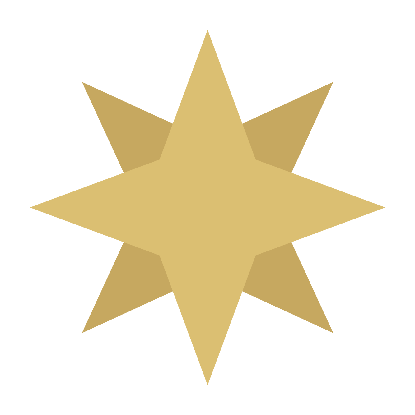 ApolloChorusDigitalAssets_StarFill.png
