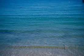 The Story of Microfibers