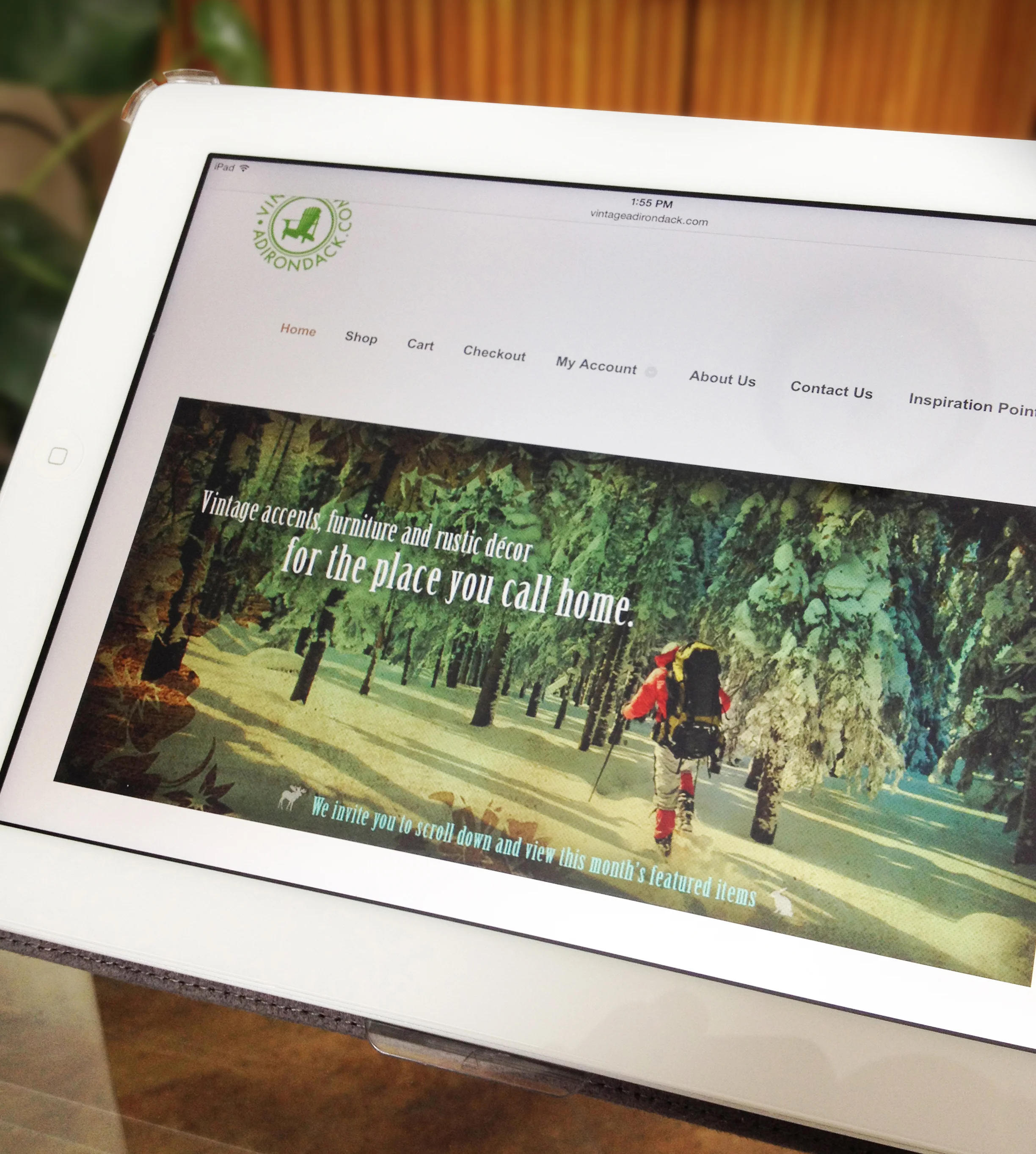 VA homepage on pad.jpg