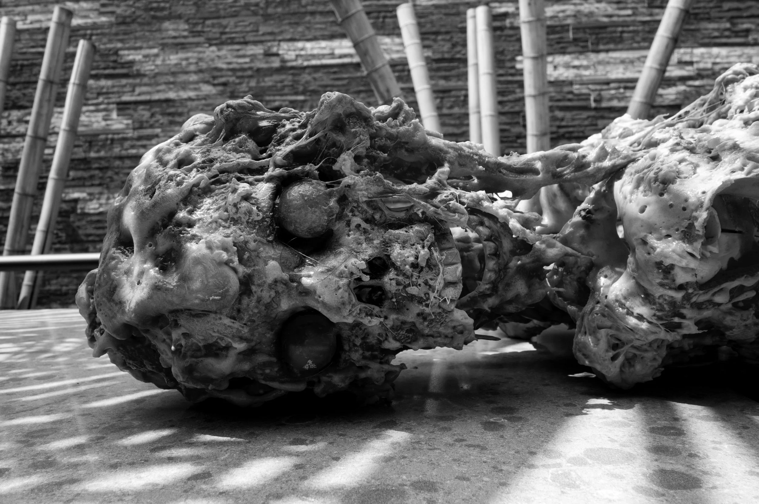 Practical Skeleton 