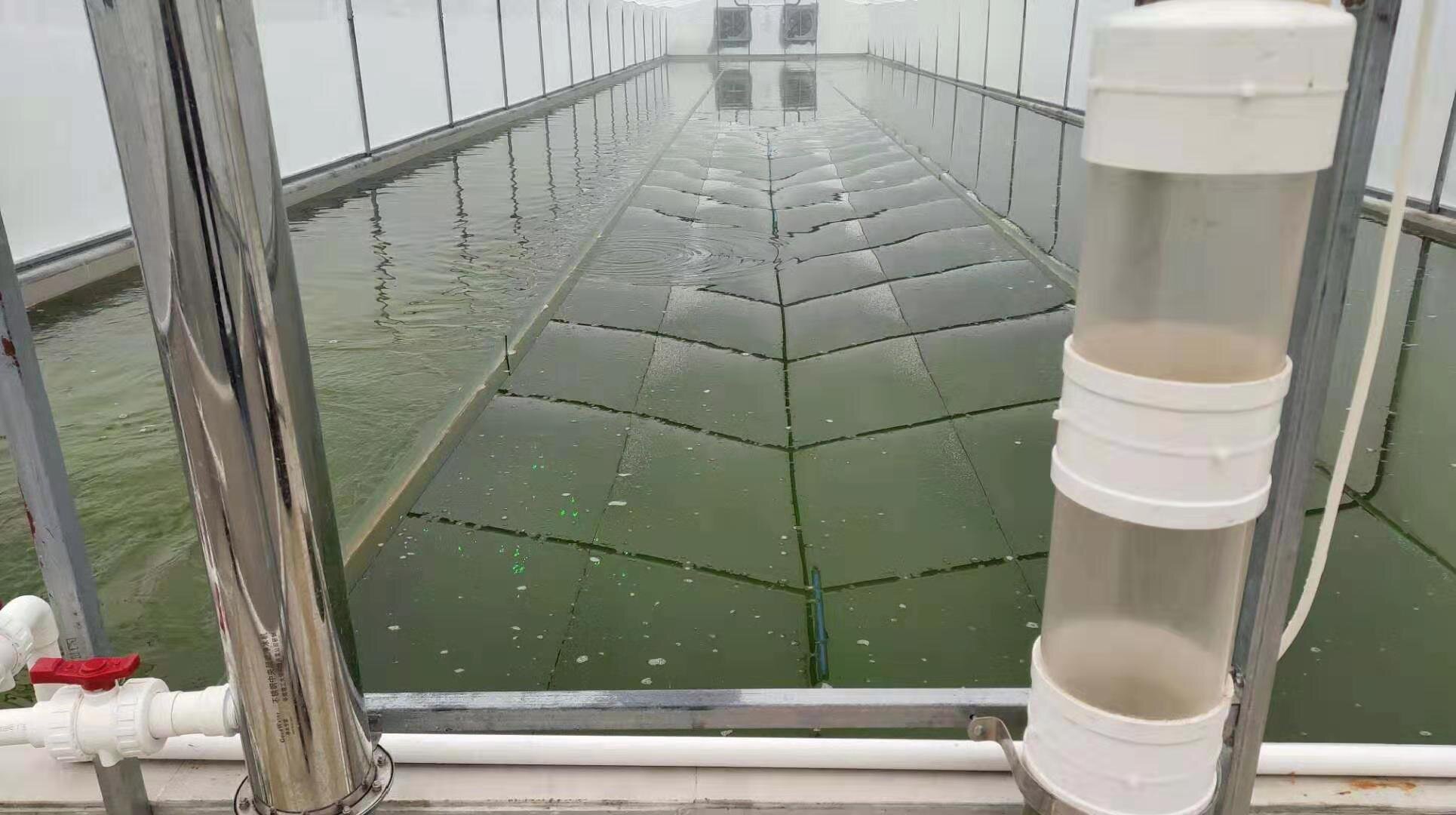 WeChat Image_20191201162913.jpg