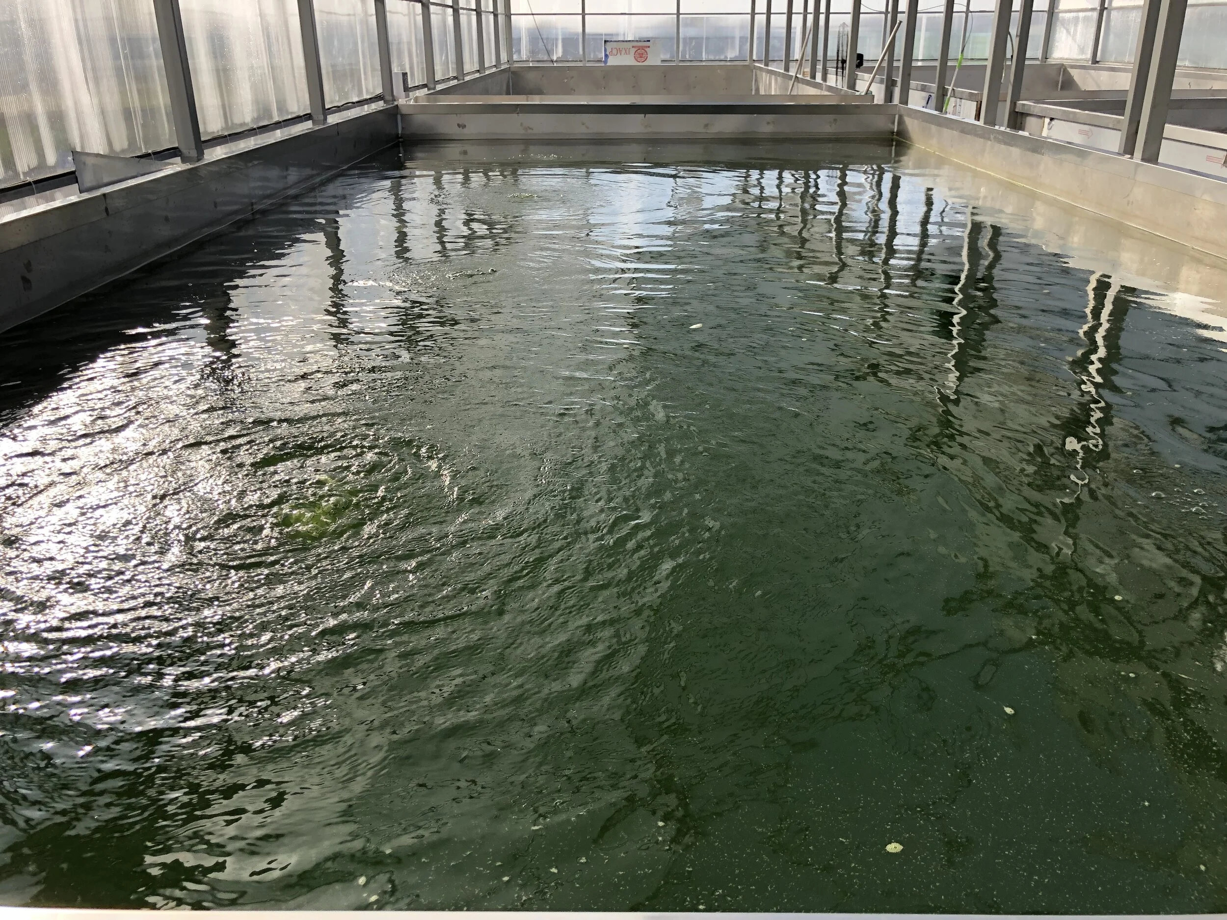 WeChat Image_20191024102203.jpg