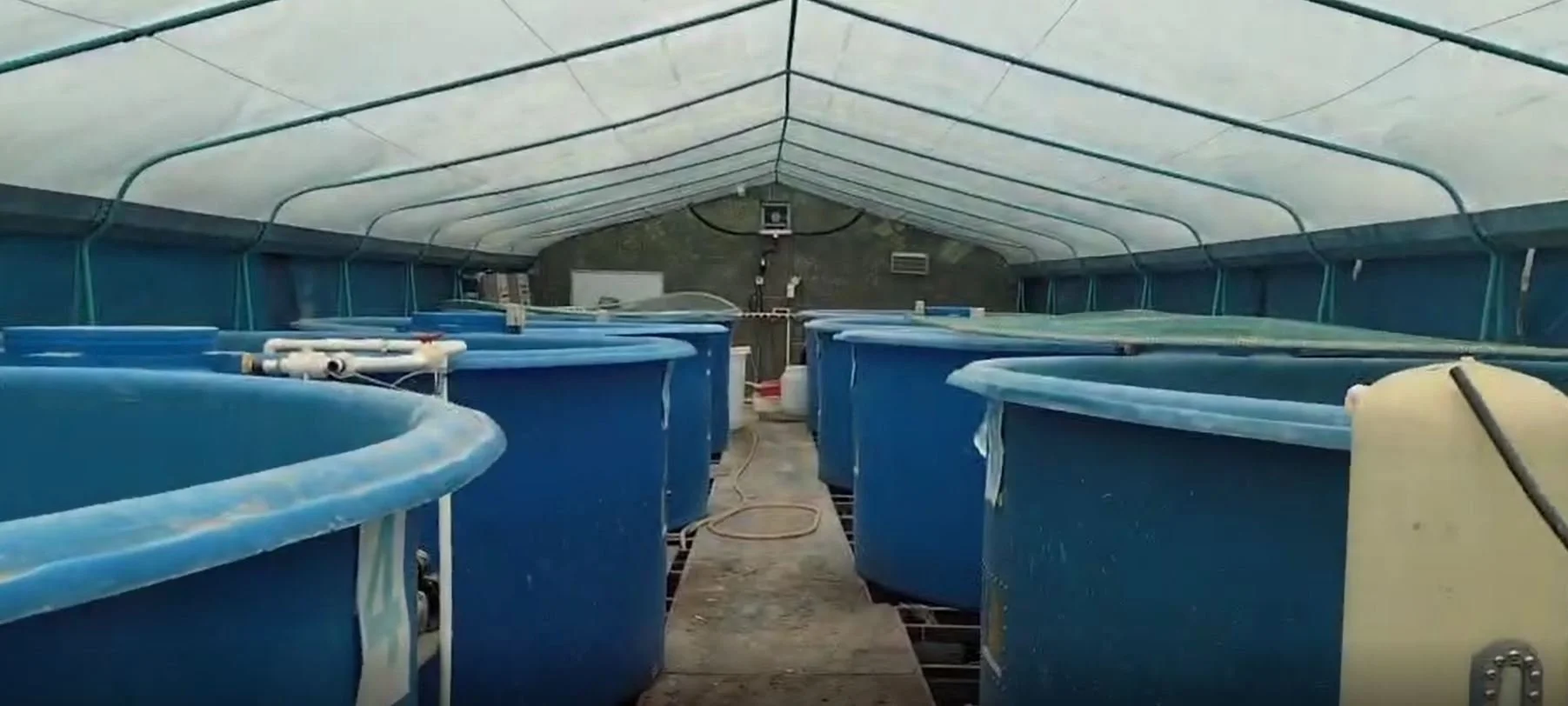 Greenhouse 5.JPG