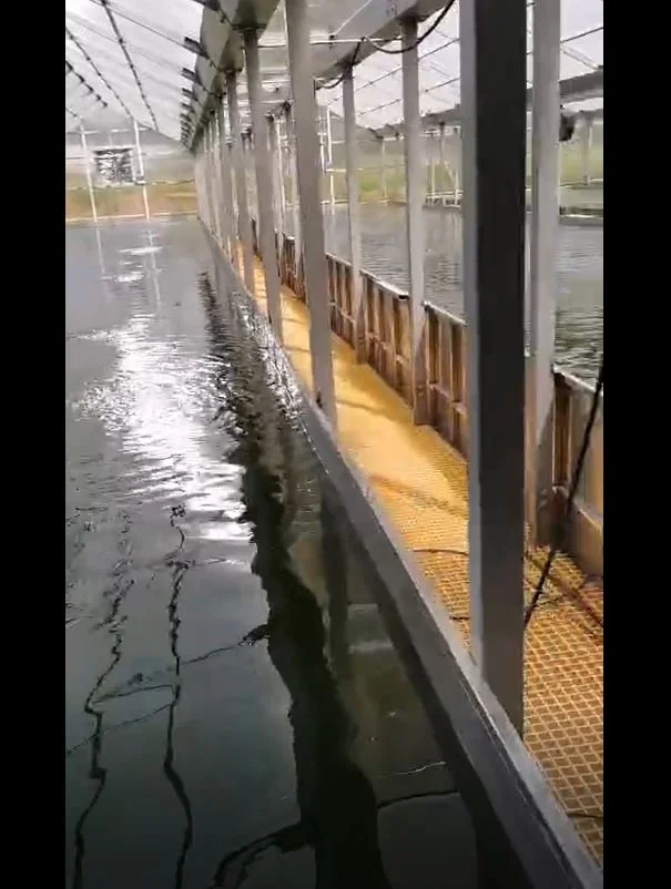Greenhouse 1.JPG