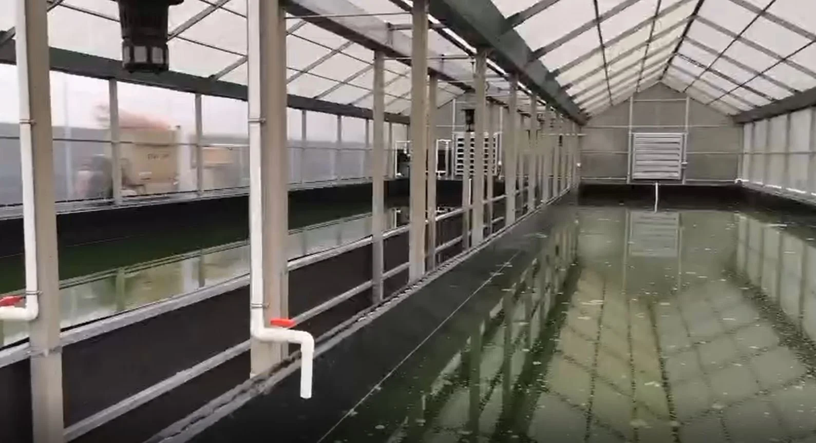 Greenhouse.JPG