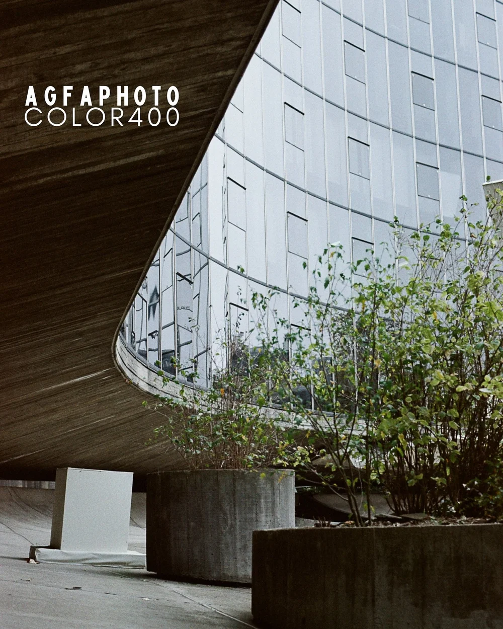 &Ecirc;tes-vous plut&ocirc;t team teintes froides ou chaudes en photo ?

Aujourd&rsquo;hui, nous vous pr&eacute;sentons la nouvelle version de l&rsquo;AGFA Color 400 ISO ! Cette pellicule au prix abordable (11,90 &euro; pour 24 poses) pourra &ecirc;t