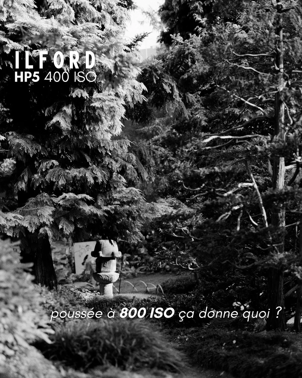 Cela vous est d&eacute;j&agrave; arriv&eacute; de shooter votre pellicule par erreur ou pour le plaisir &agrave; des ISO plus &eacute;lev&eacute;s que sa nominal ? 🎞️🧪

Aujourd&rsquo;hui on vous fait d&eacute;couvrir le rendu de l&rsquo;Ilford HP5 