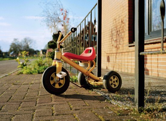 William - ©️Elsa &amp; Johanna