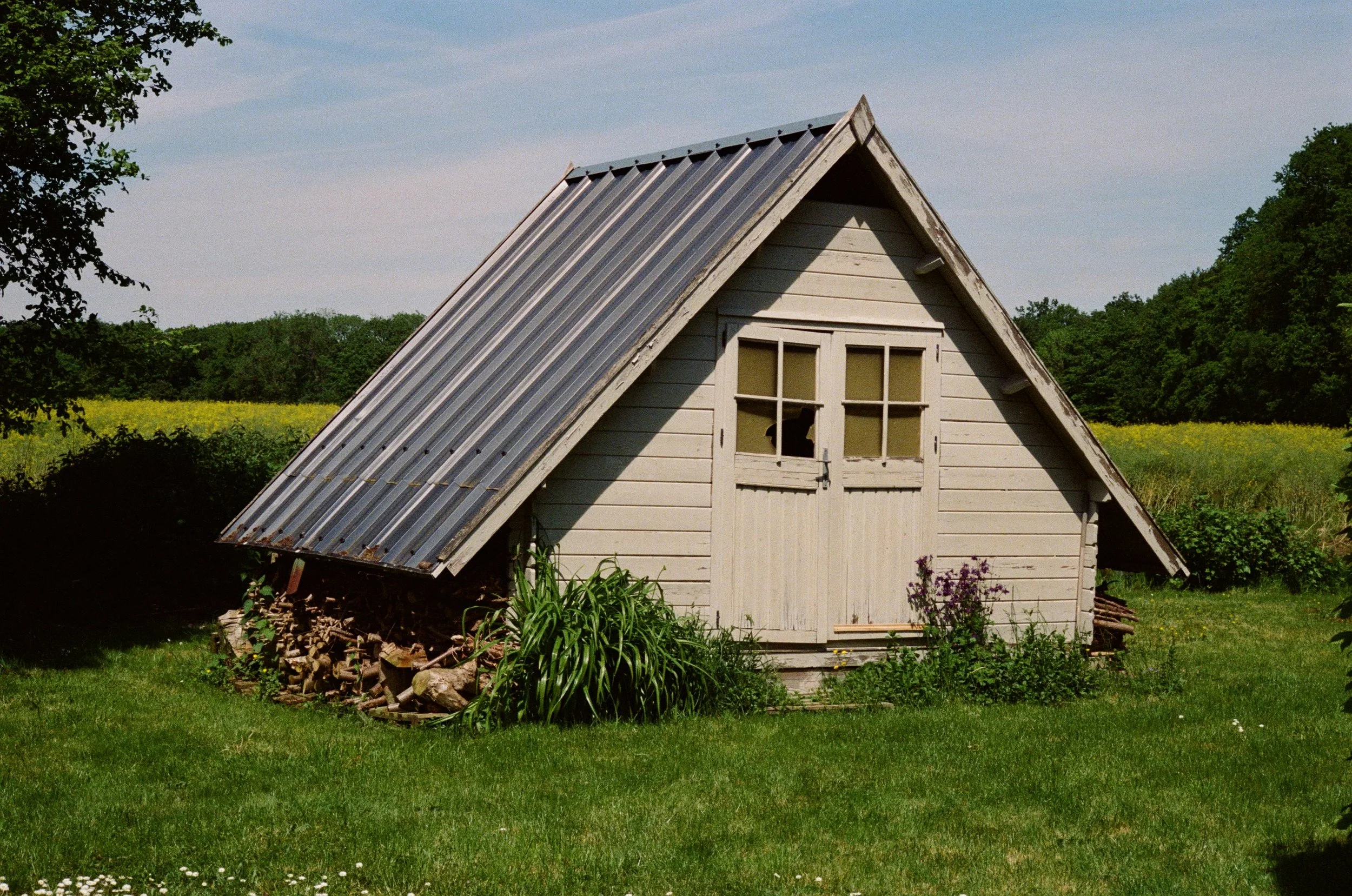 Lomo 800 @_laurargentique