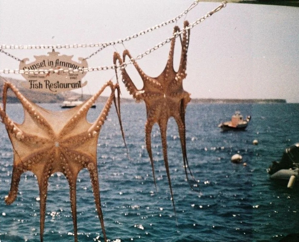 Lomochrome Color 92 sunkissed 110