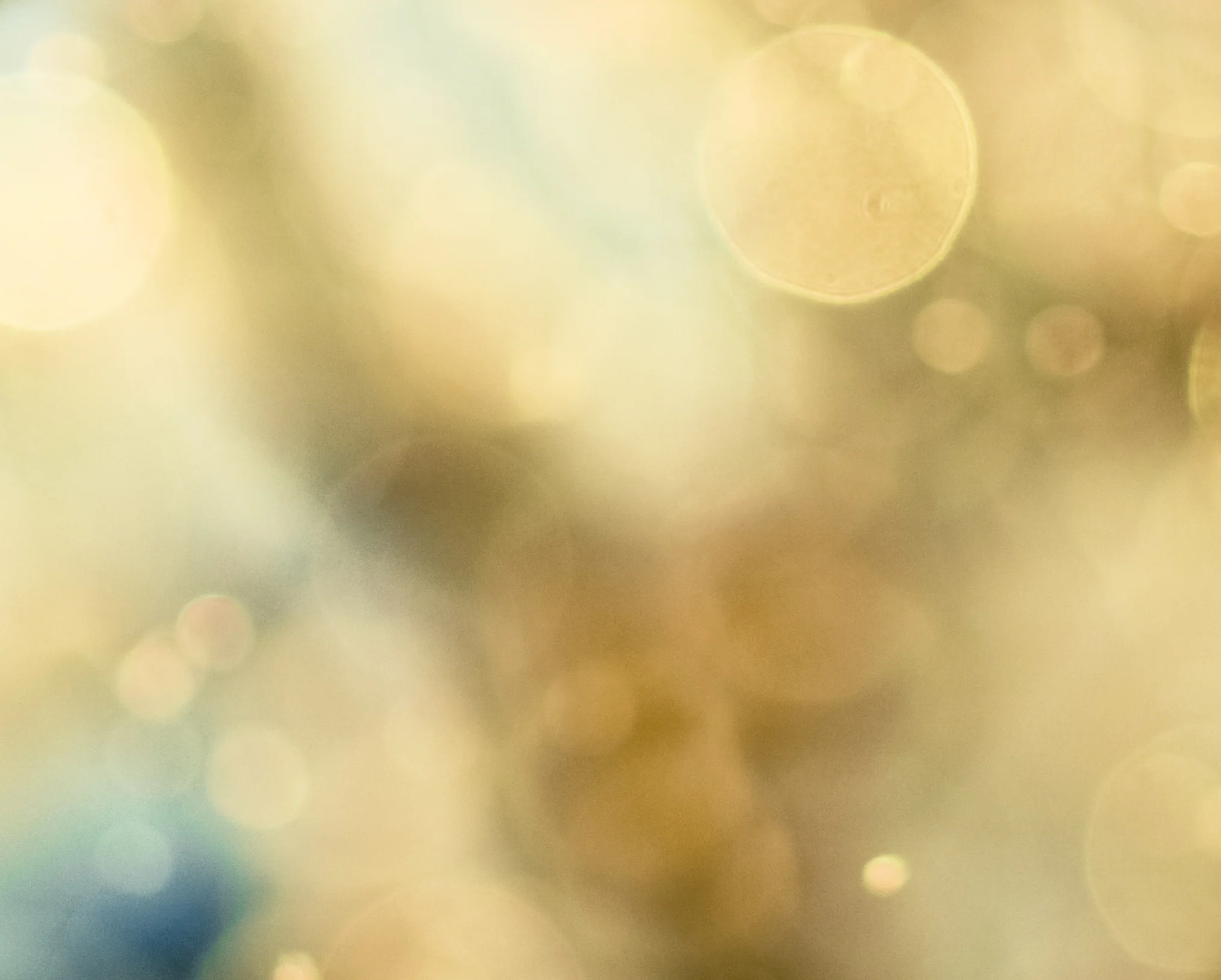 Light Magic - Aqua Gold