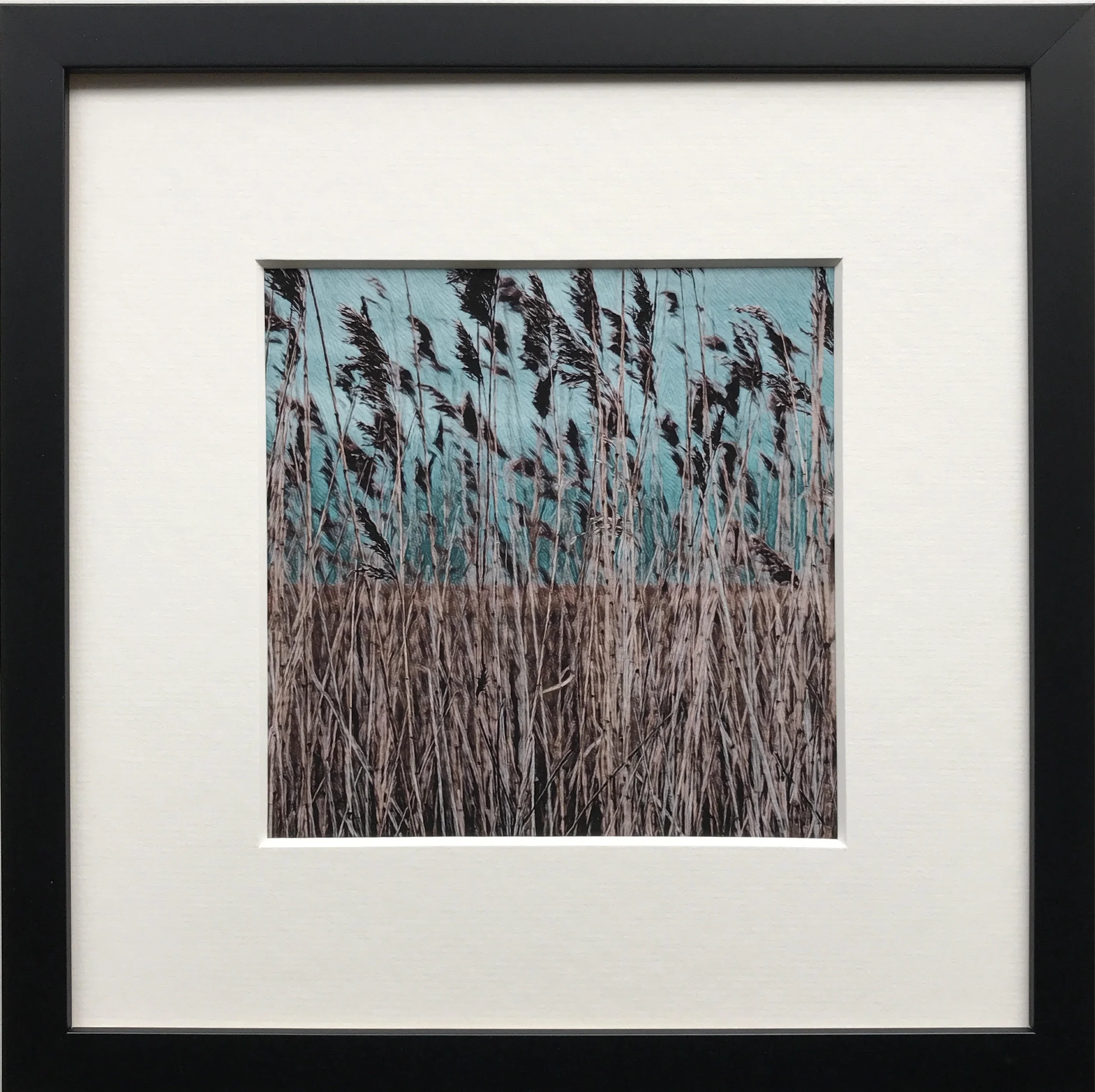 Reeds, Walberswick