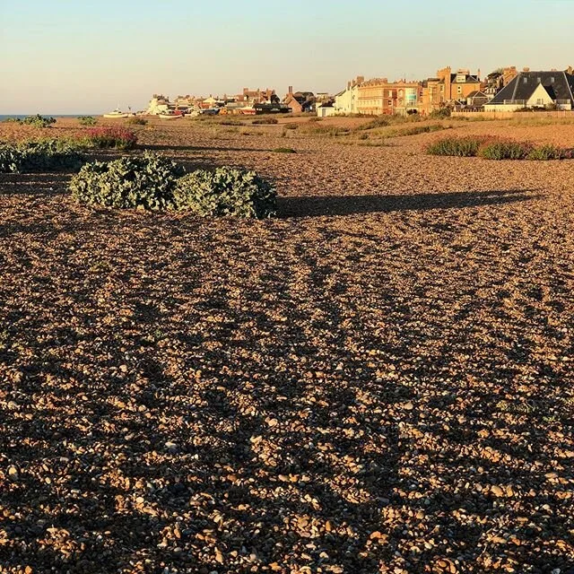 Humid here.
#aldeburgh #aldeburghbeach
