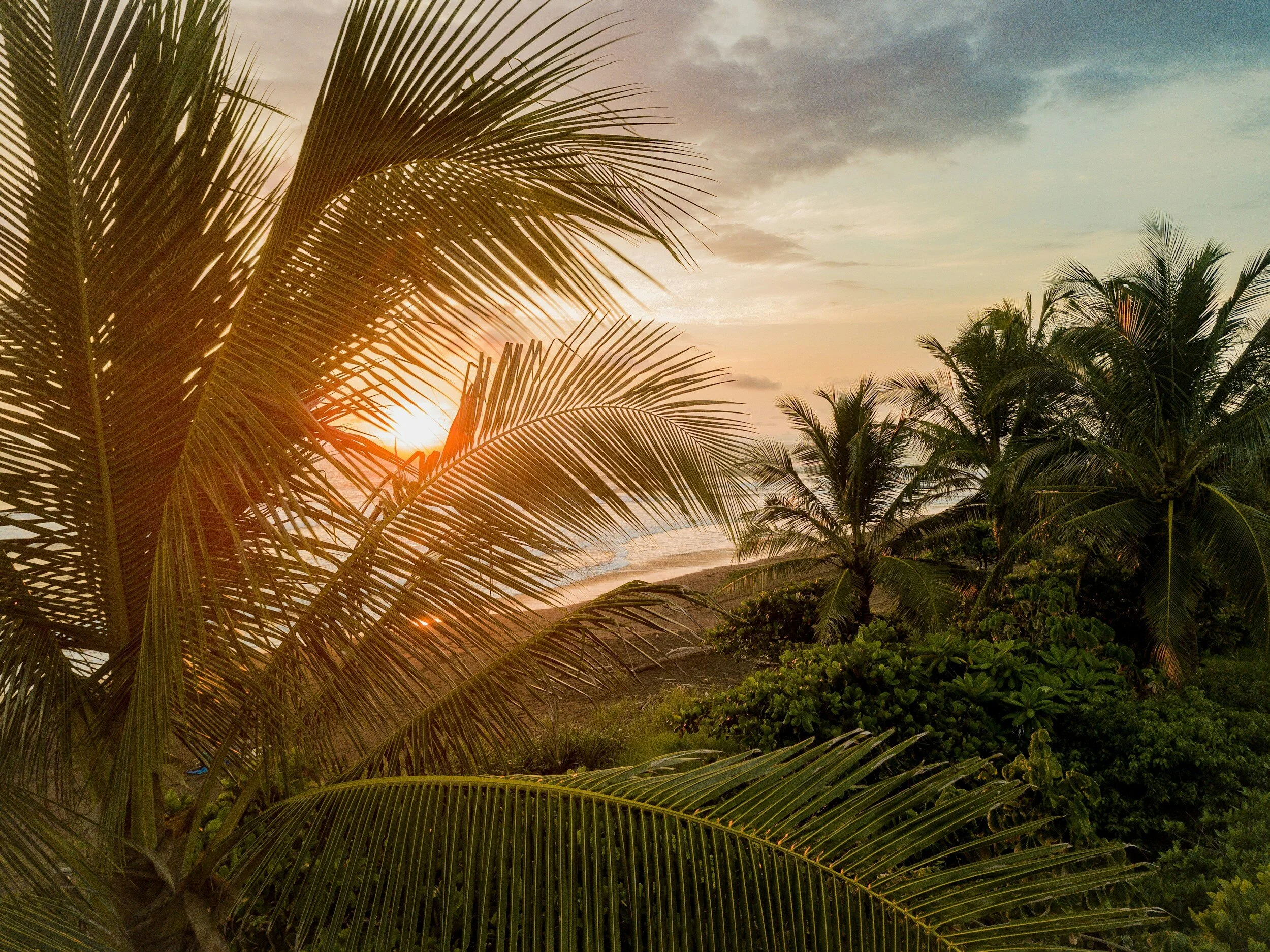 Costa Rica: An Unexpected Leader in Sustainability