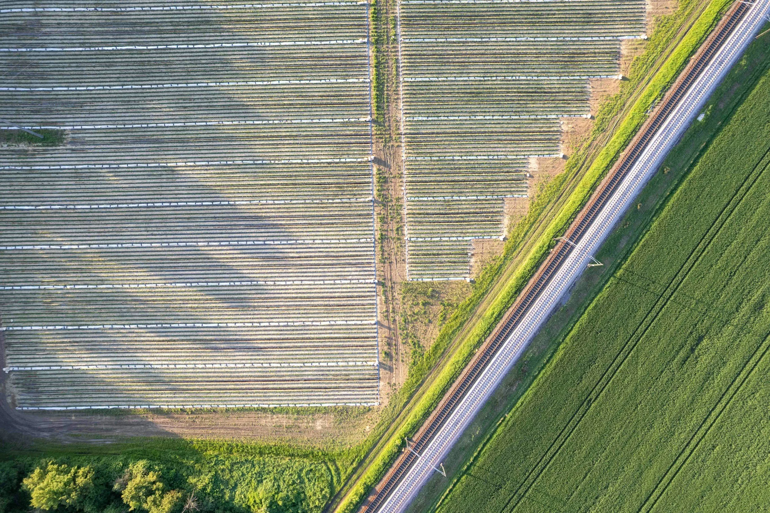 Foreign Involvement for a ‘Greener’ Future: Africa’s Journey to Reaching Maximum Renewable Energy Potential 