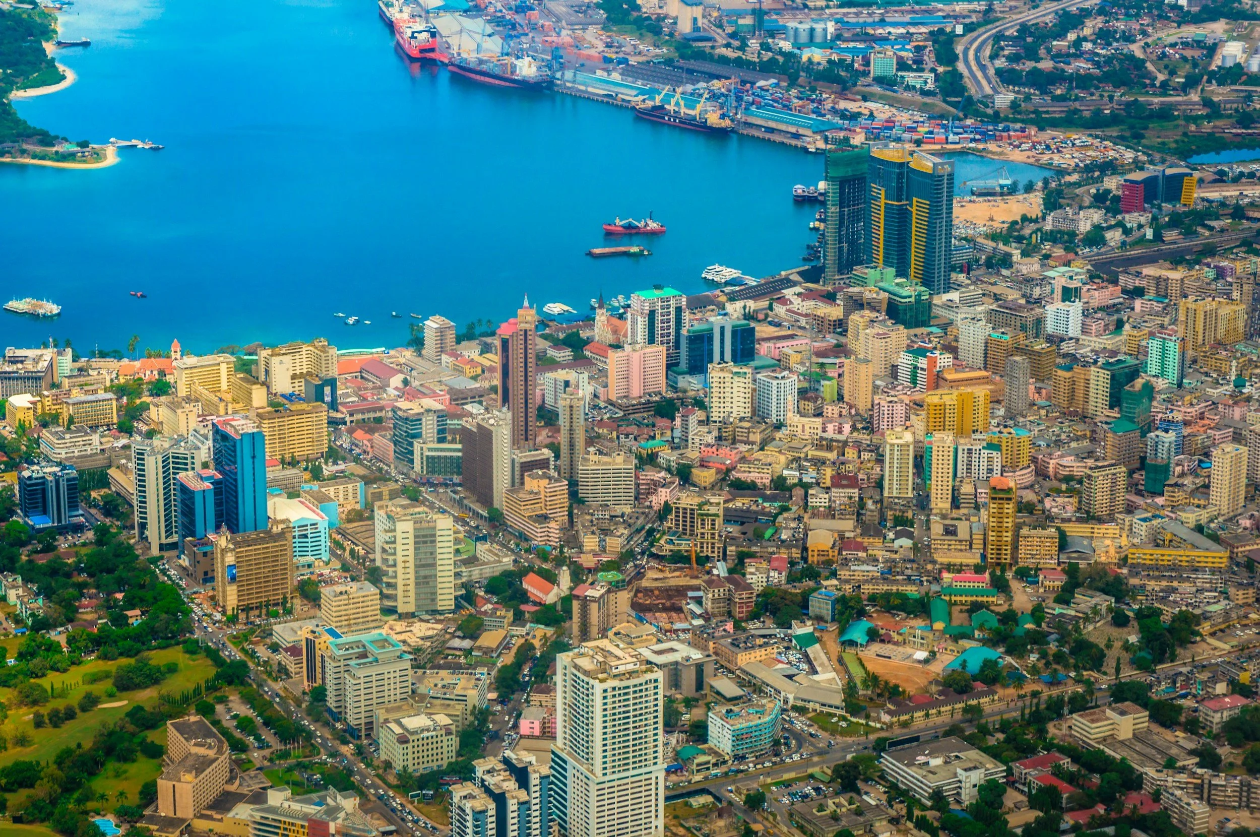Anti-Albino Sentiment in Tanzania: The Role of Government and NGOs