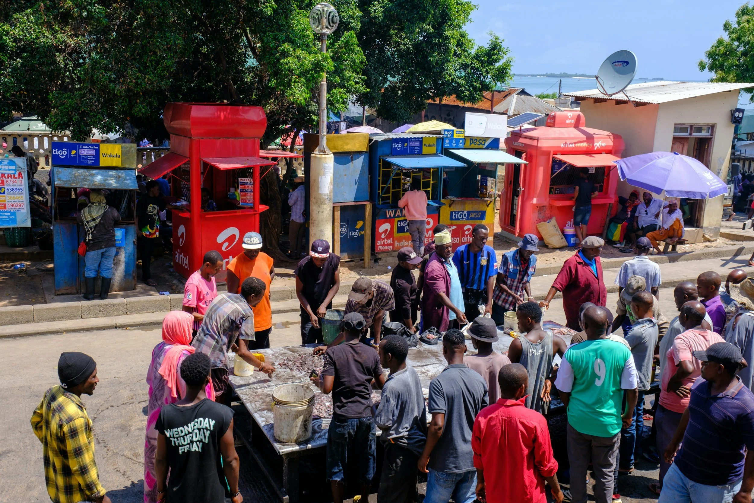 Citizen Mobilization and State Repression in Tanzania’s 2025 Election