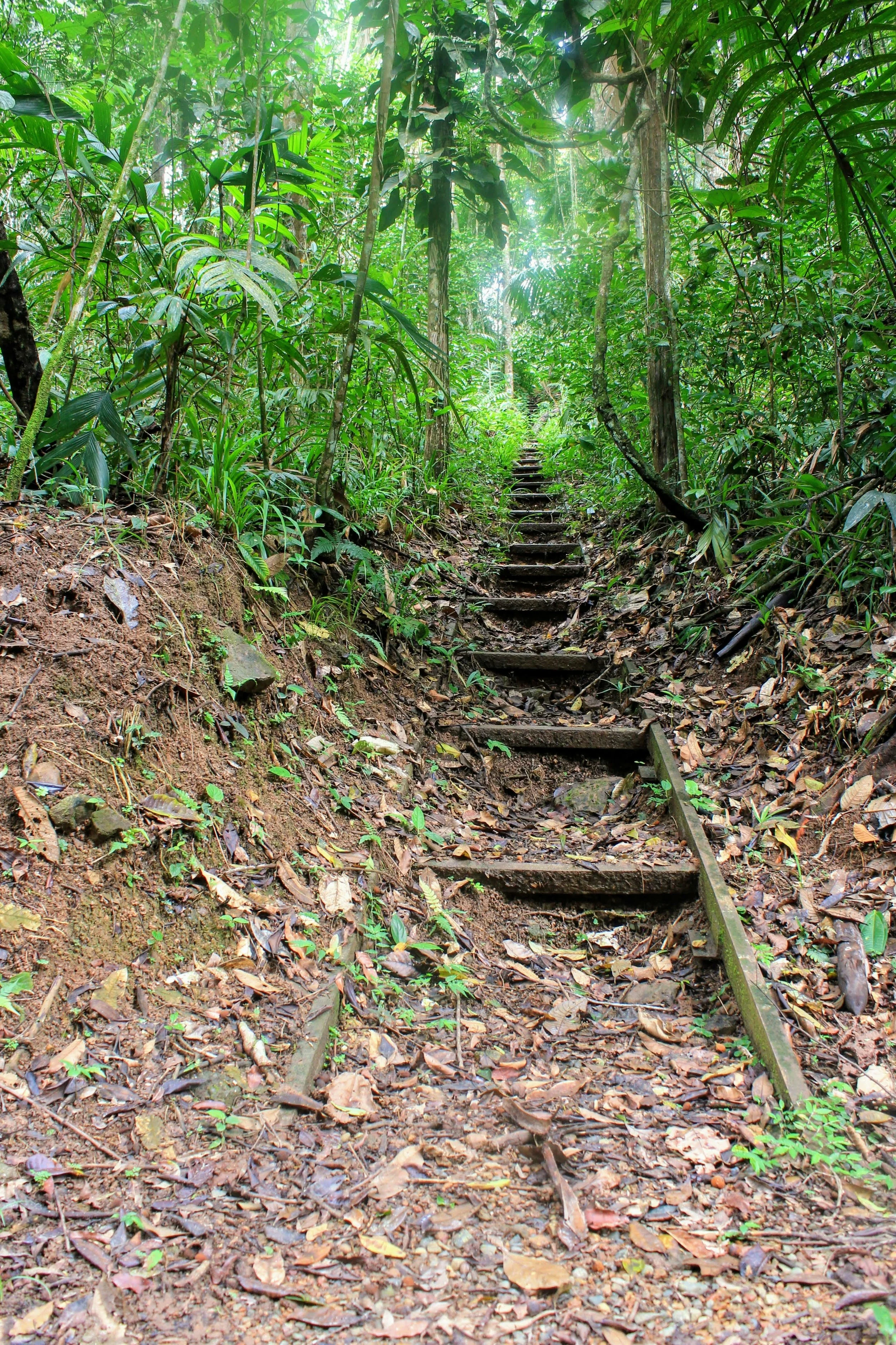 The Long Journey North: How the U.S. Manages Migration through the Darién Gap
