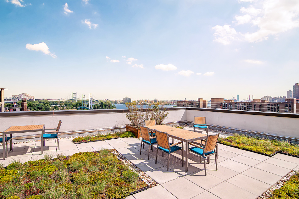 roof-terrace.jpg