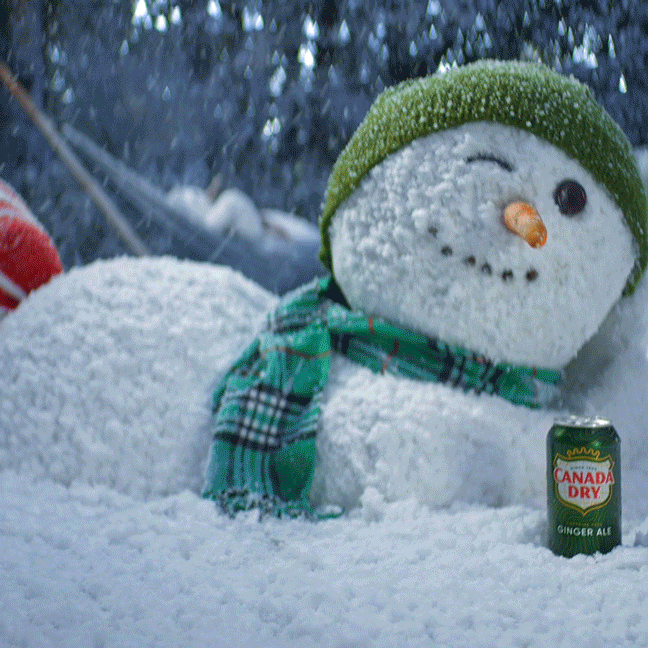 Canada Dry Holiday