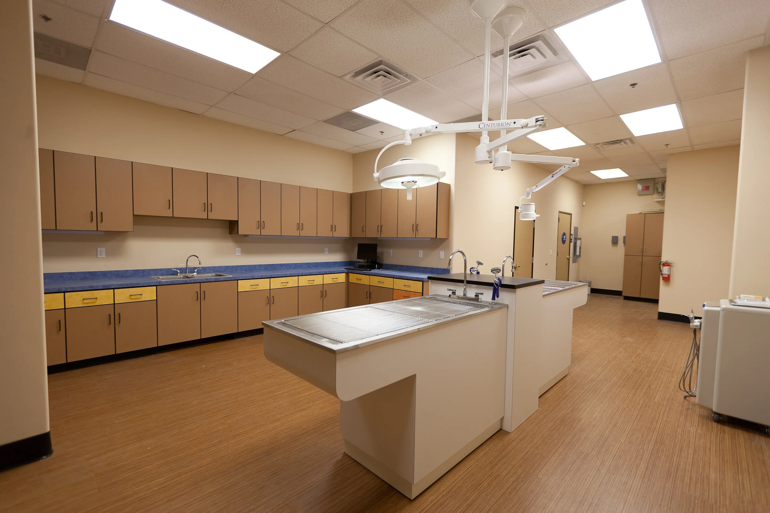 Vet Clinic-18.jpg