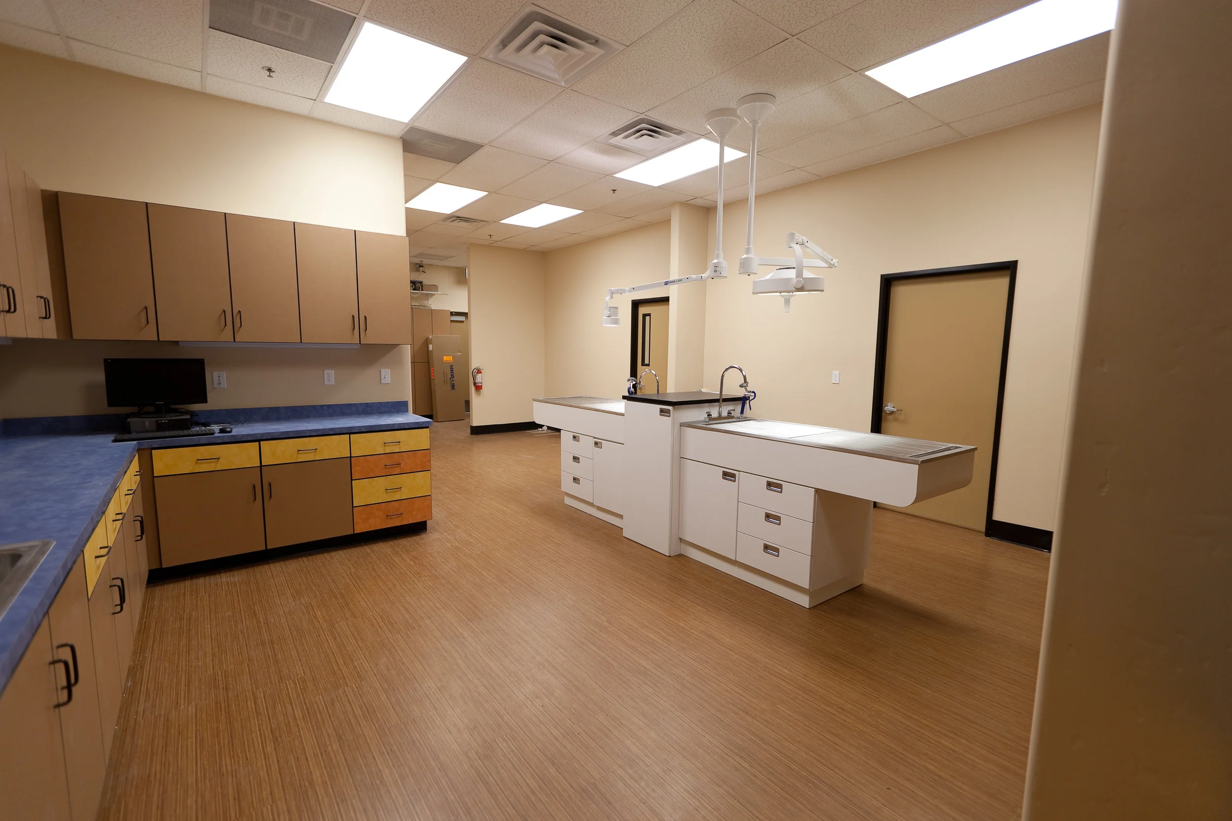 Vet Clinic-17.jpg