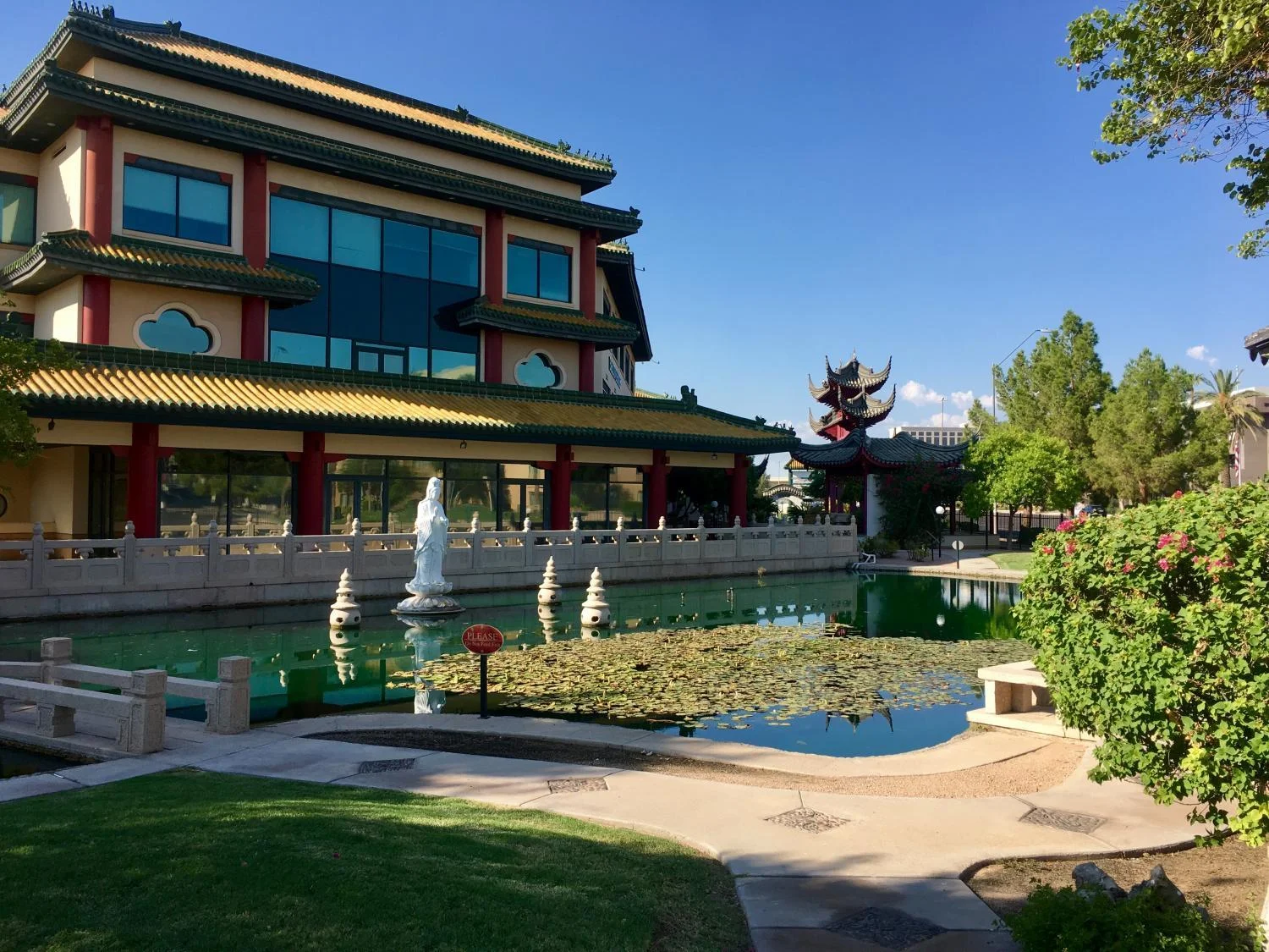 CCC Garden.jpg