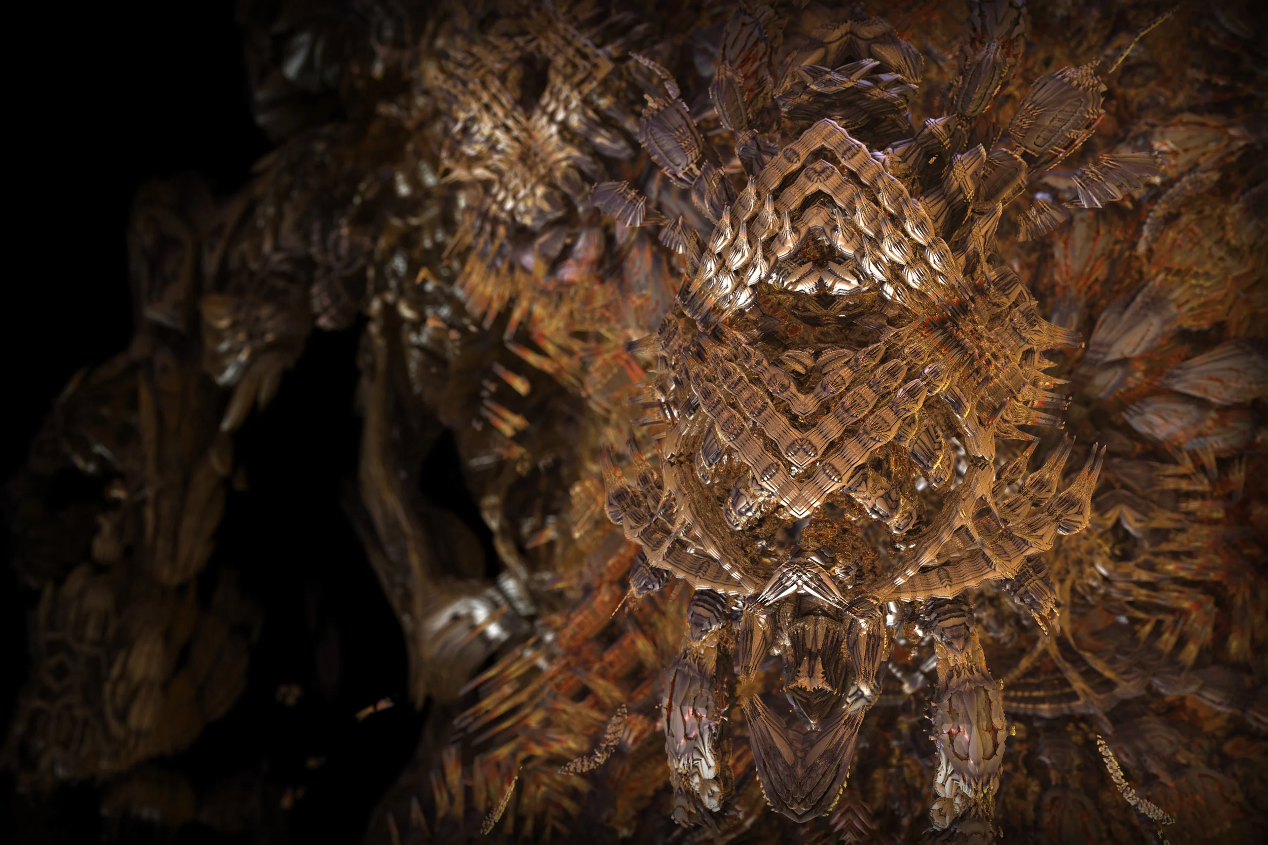 carapace.jpg