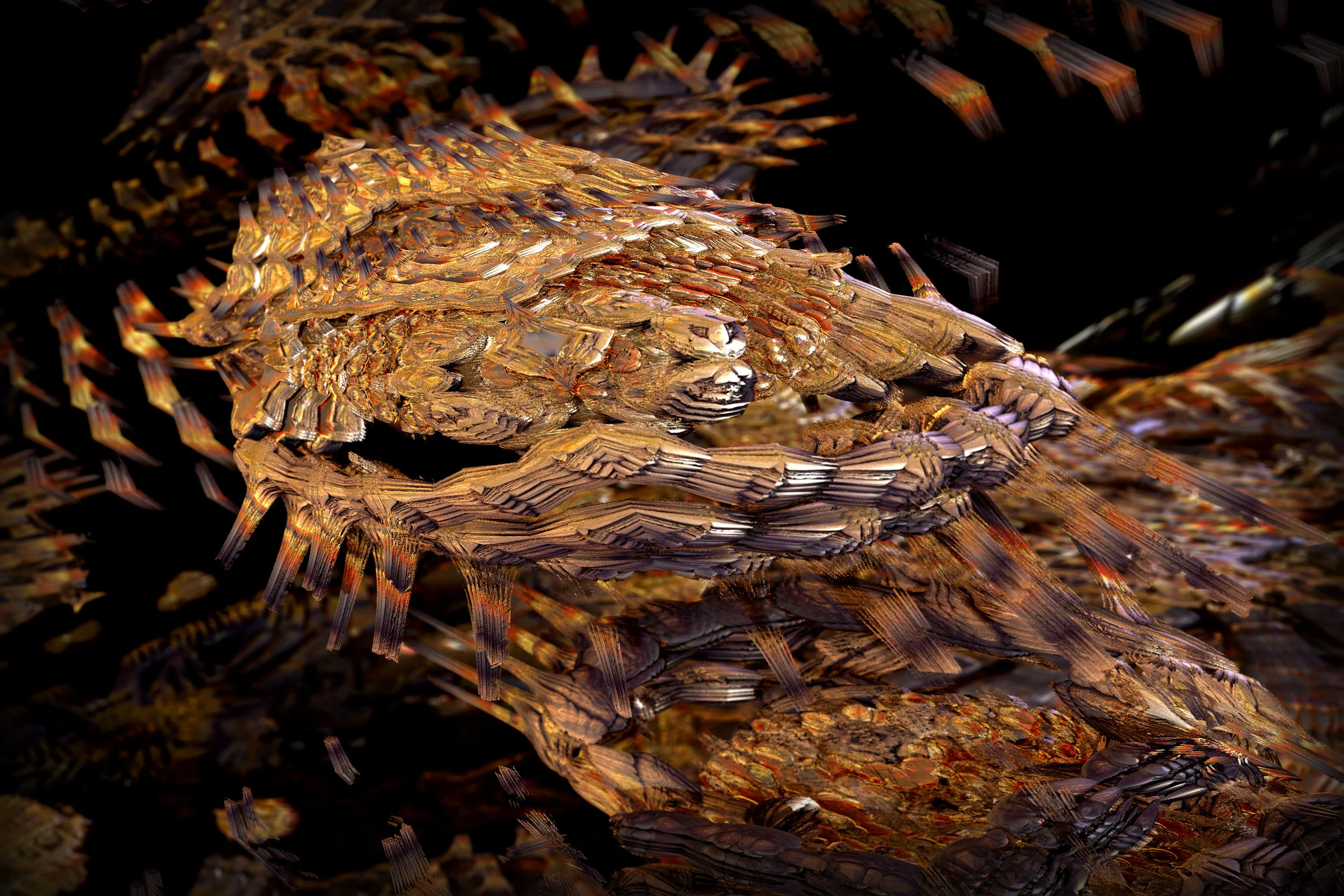 crocodile.jpg