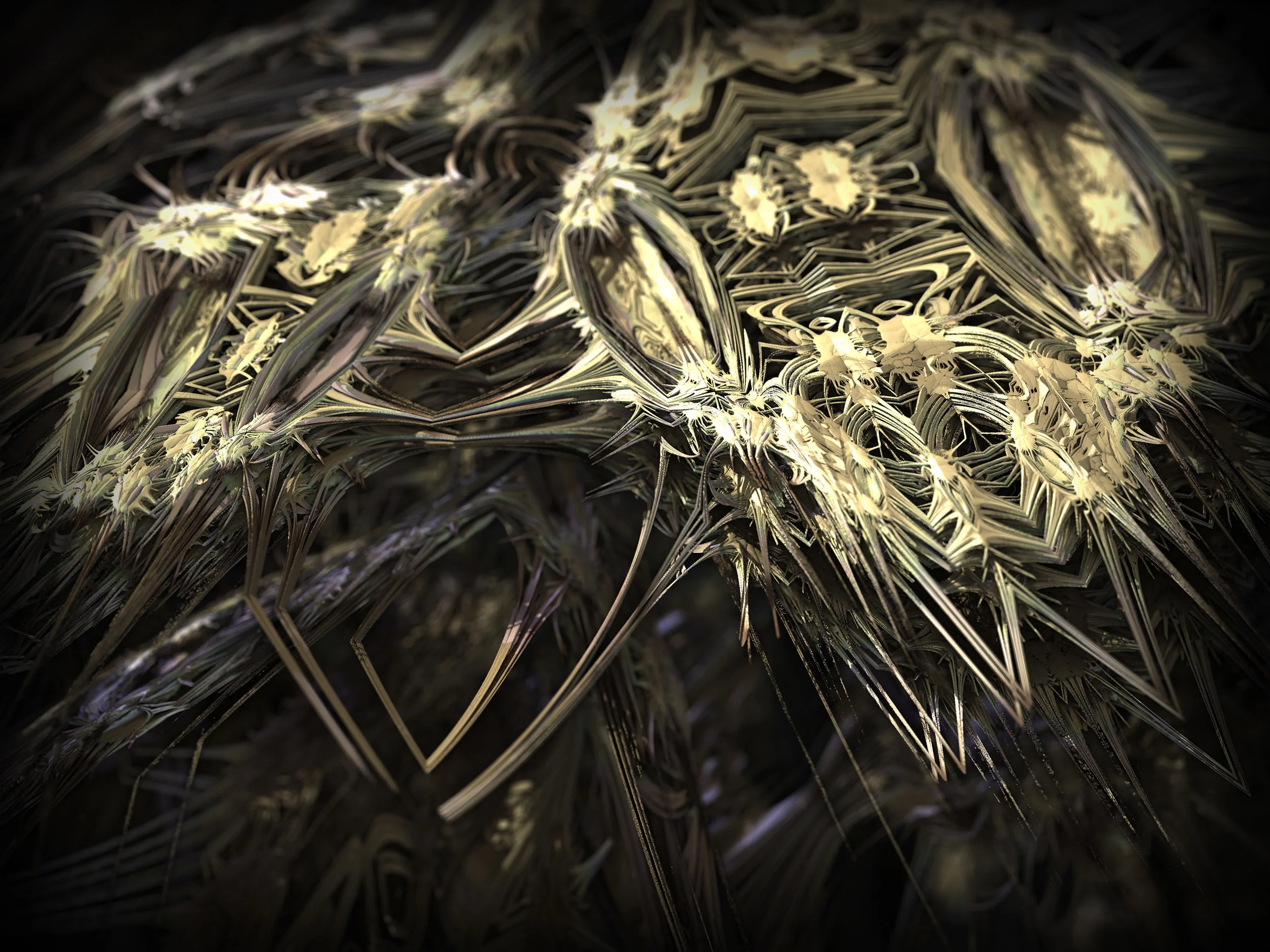 spiky.jpg